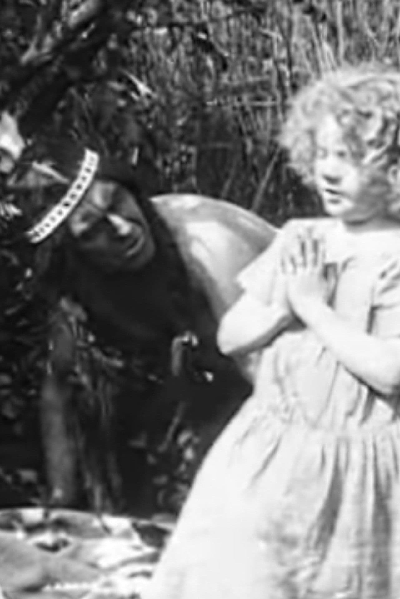 Poster do filme When the West Was Young