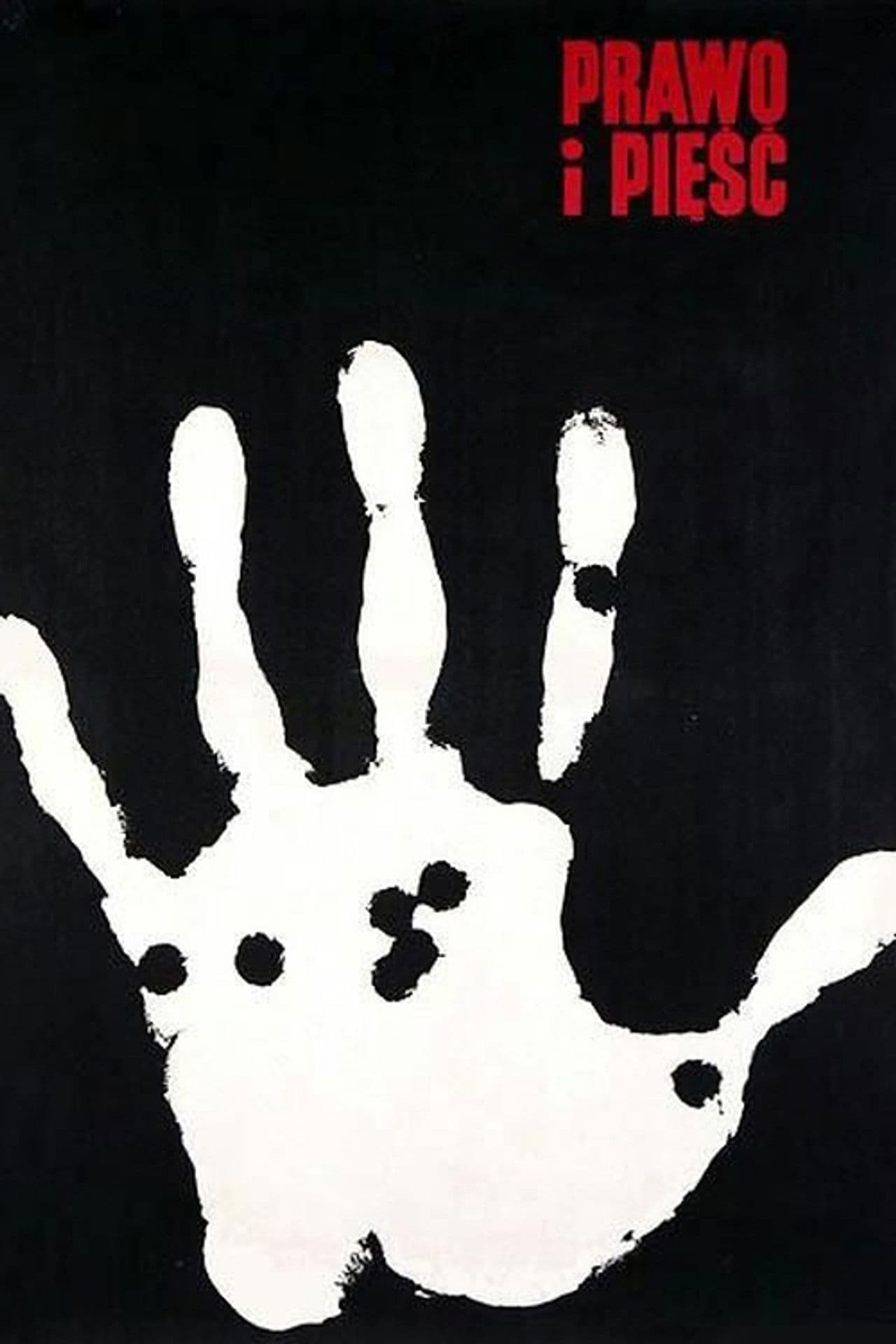 Poster do filme Prawo i pięść