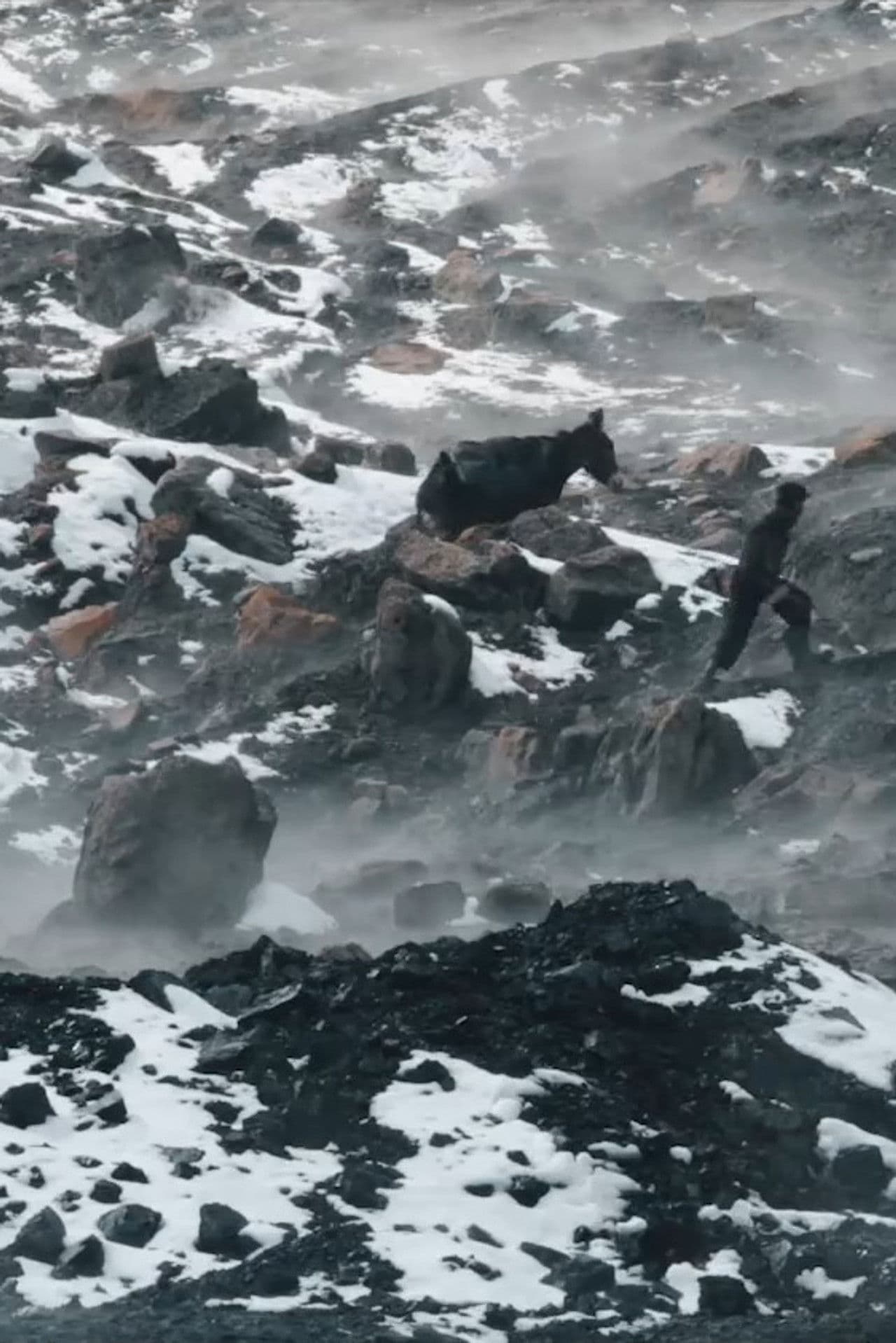 Poster do filme Afgan Kömürü