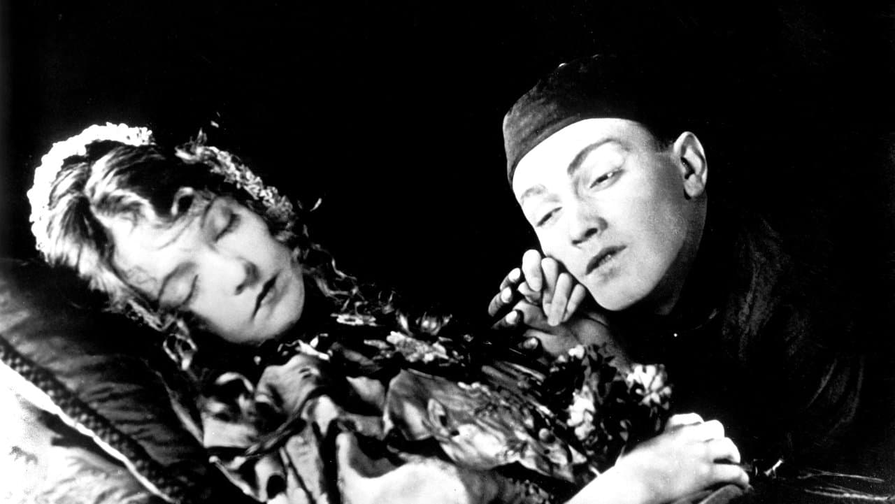 Imagem de fundo do filme Lírio Partido