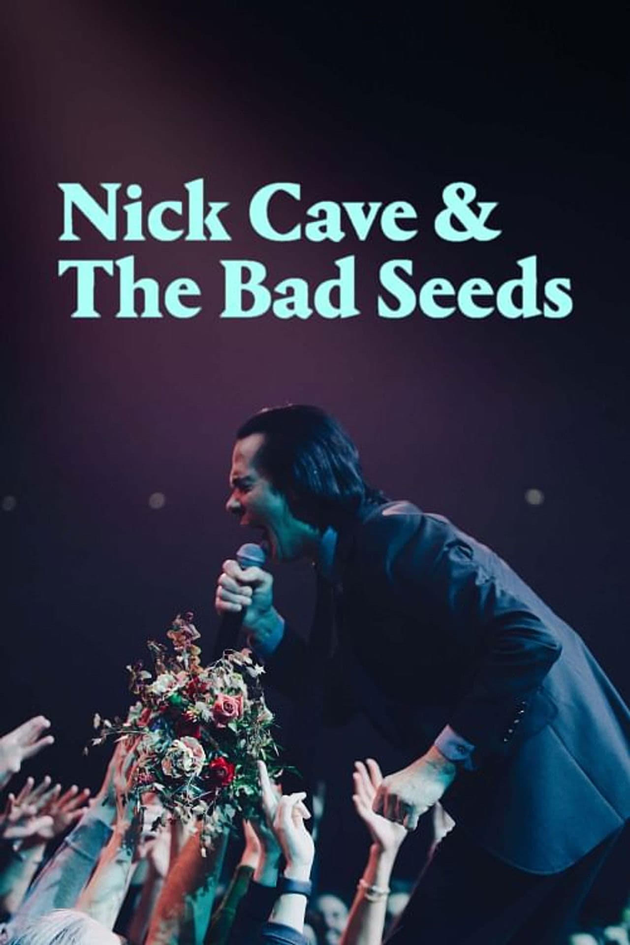 Poster do filme Nick Cave & The Bad Seeds: The Wild God Tour