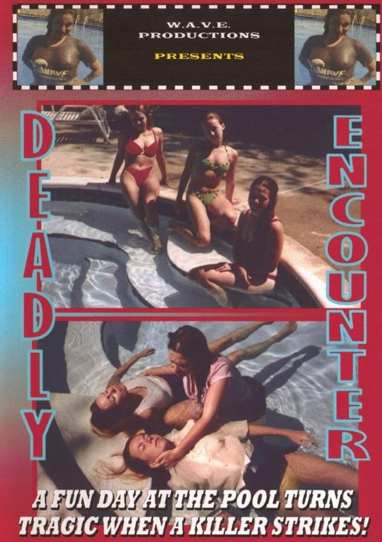 Poster do filme Deadly Encounter