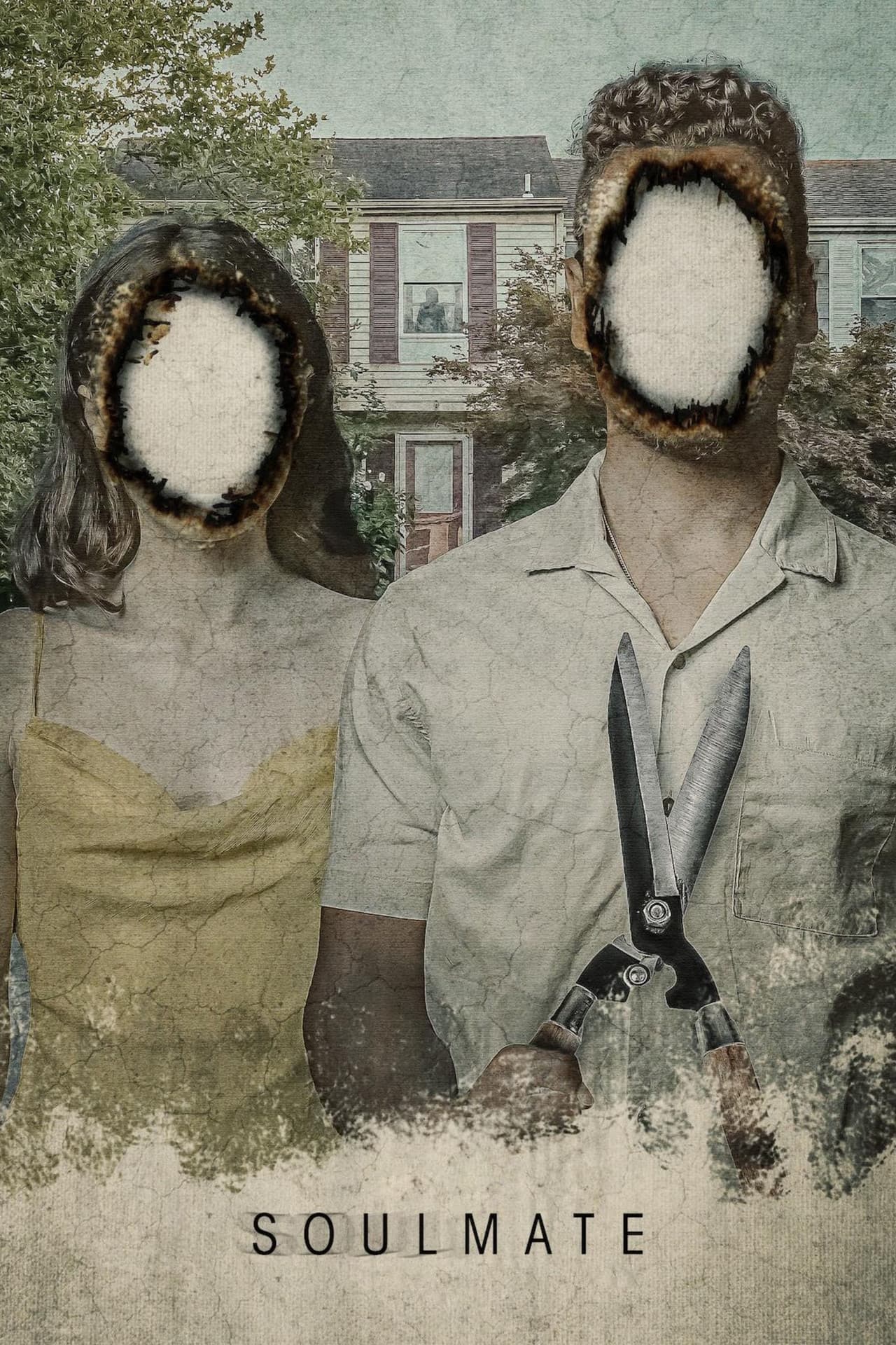 Poster do filme Soulmate