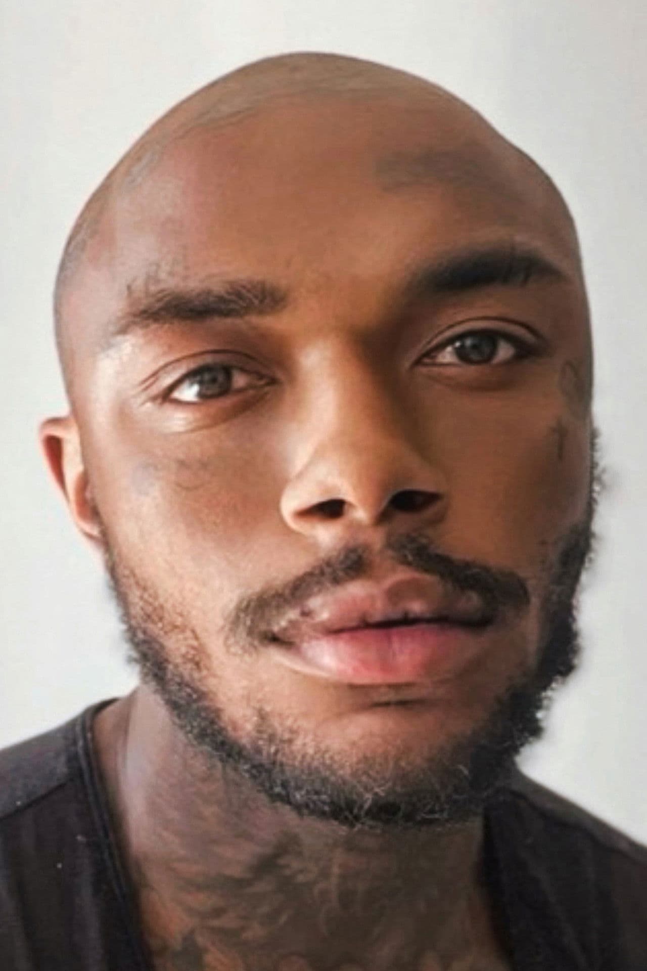 Imagem de perfil de Davi Stefond