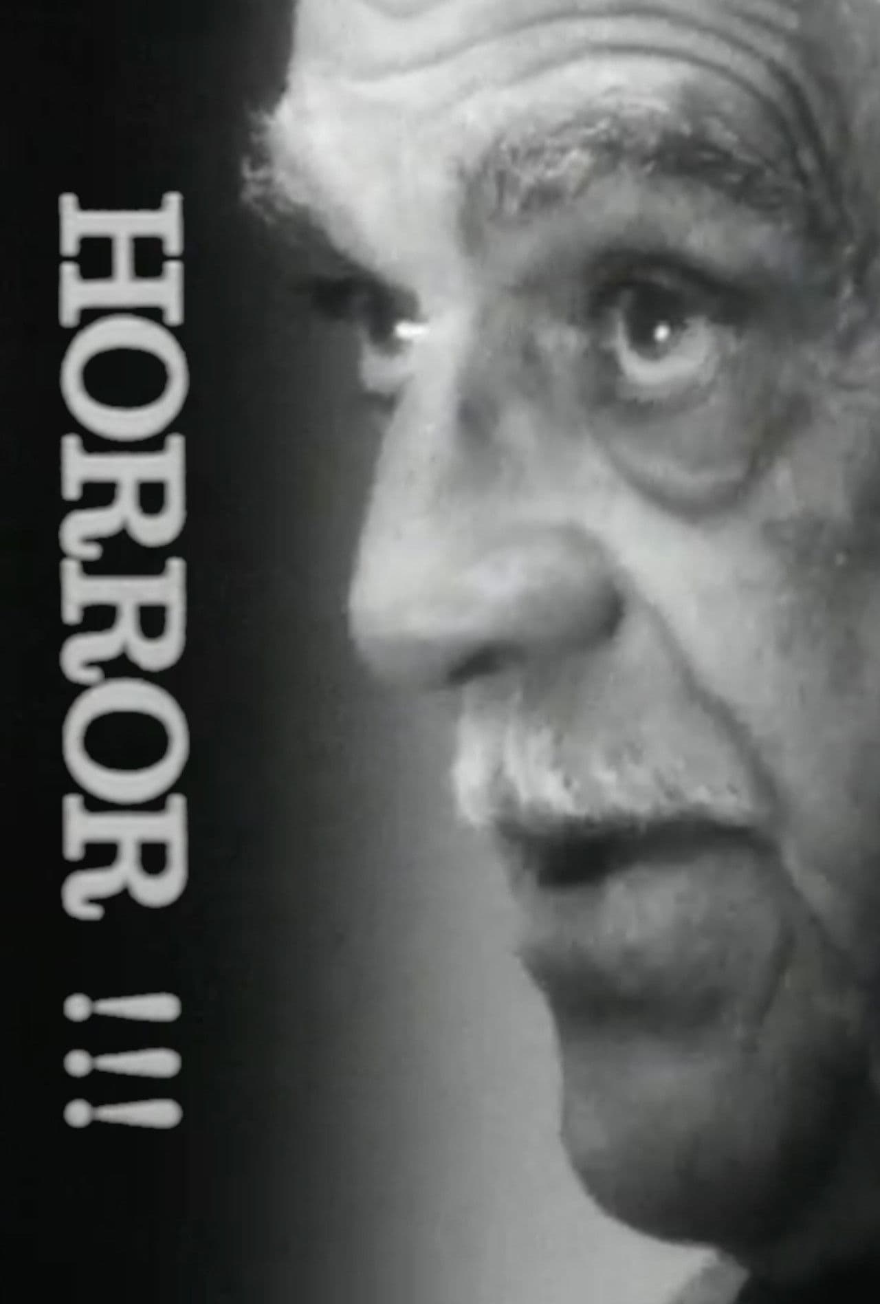 Poster do filme Horror!!!