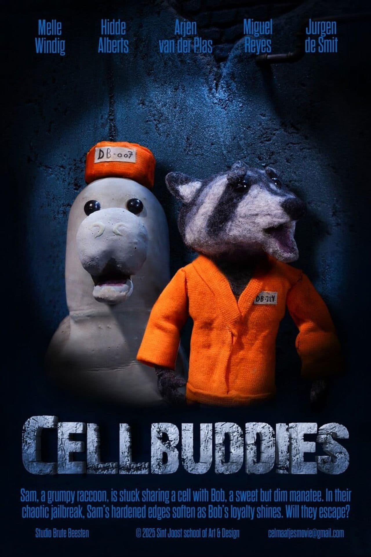 Poster do filme Celmaatjes