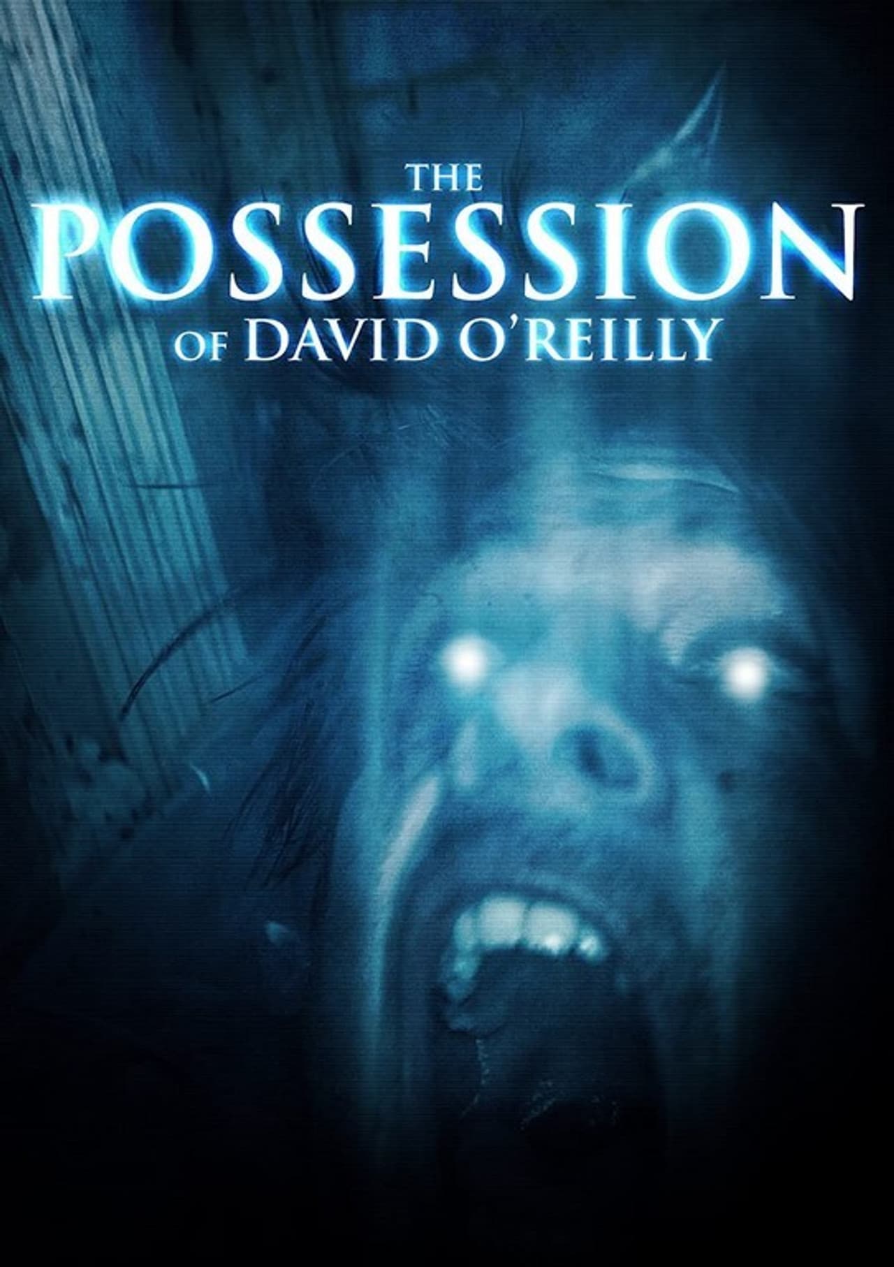 Poster do filme The Possession of David O'Reilly