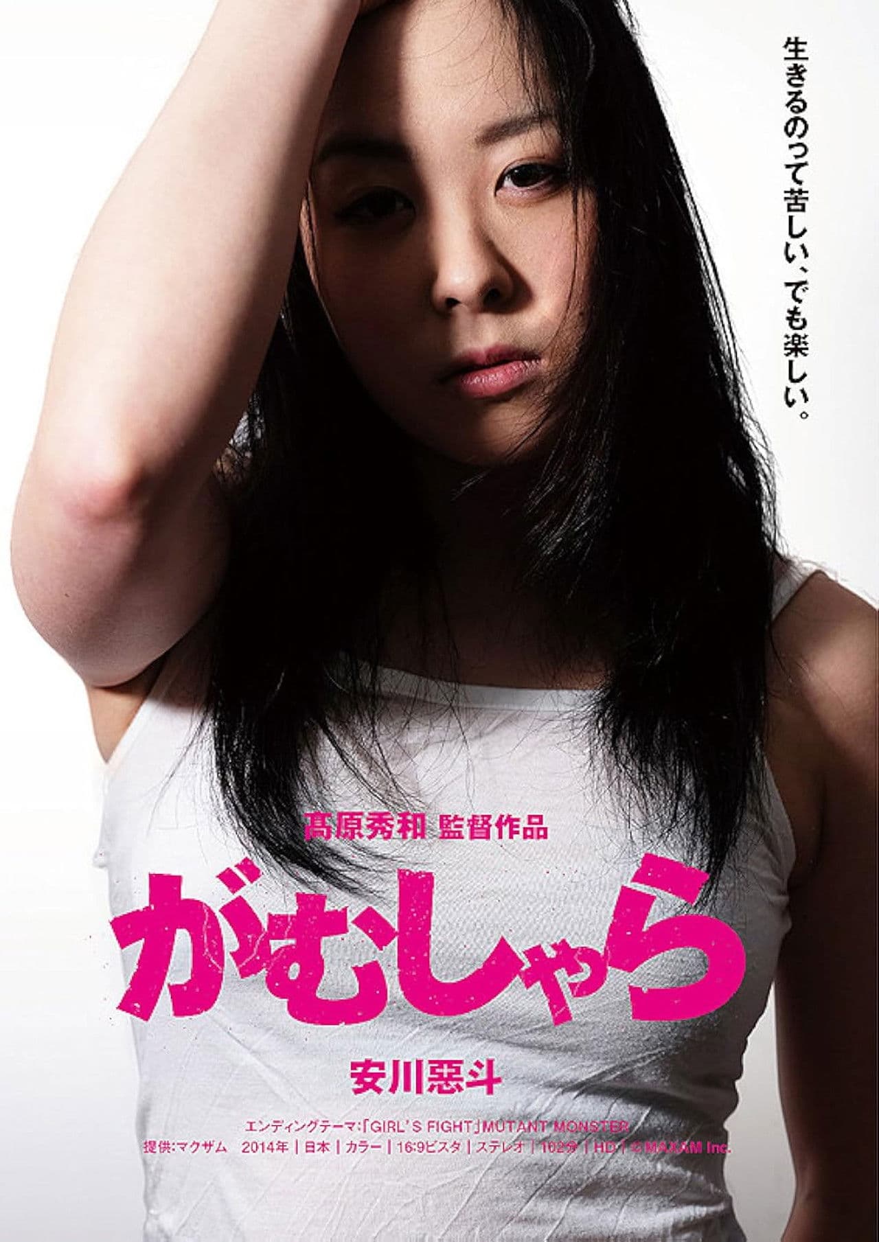 Poster do filme がむしゃら