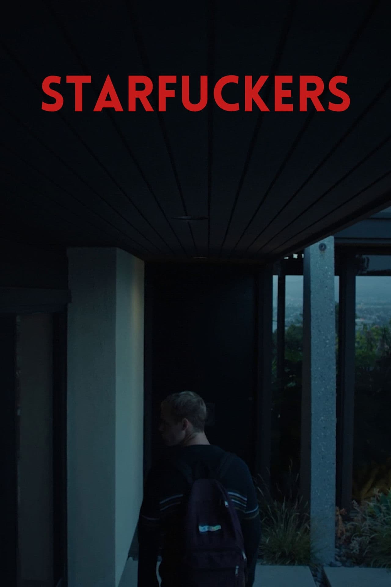 Poster do filme Starfuckers