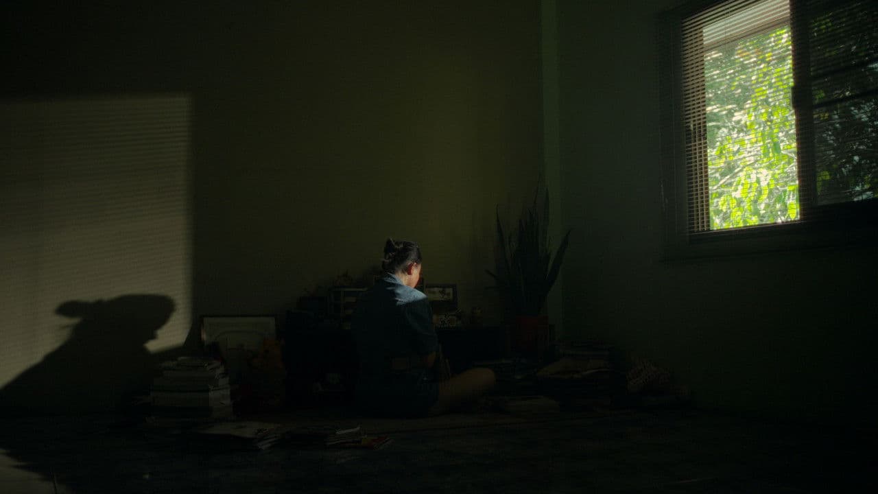 Imagem de fundo do filme Mycelium Memory