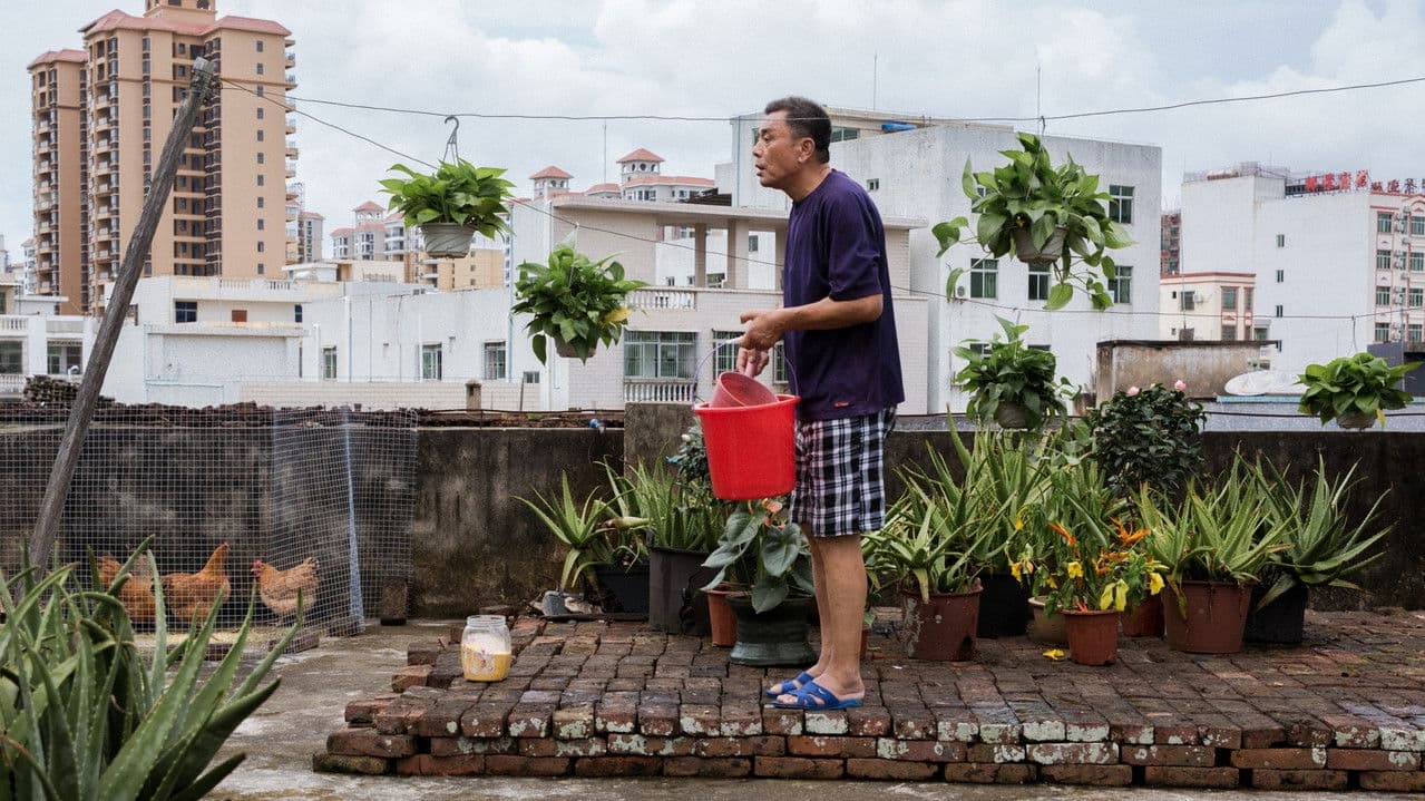 Imagem de fundo do filme 白沙堆