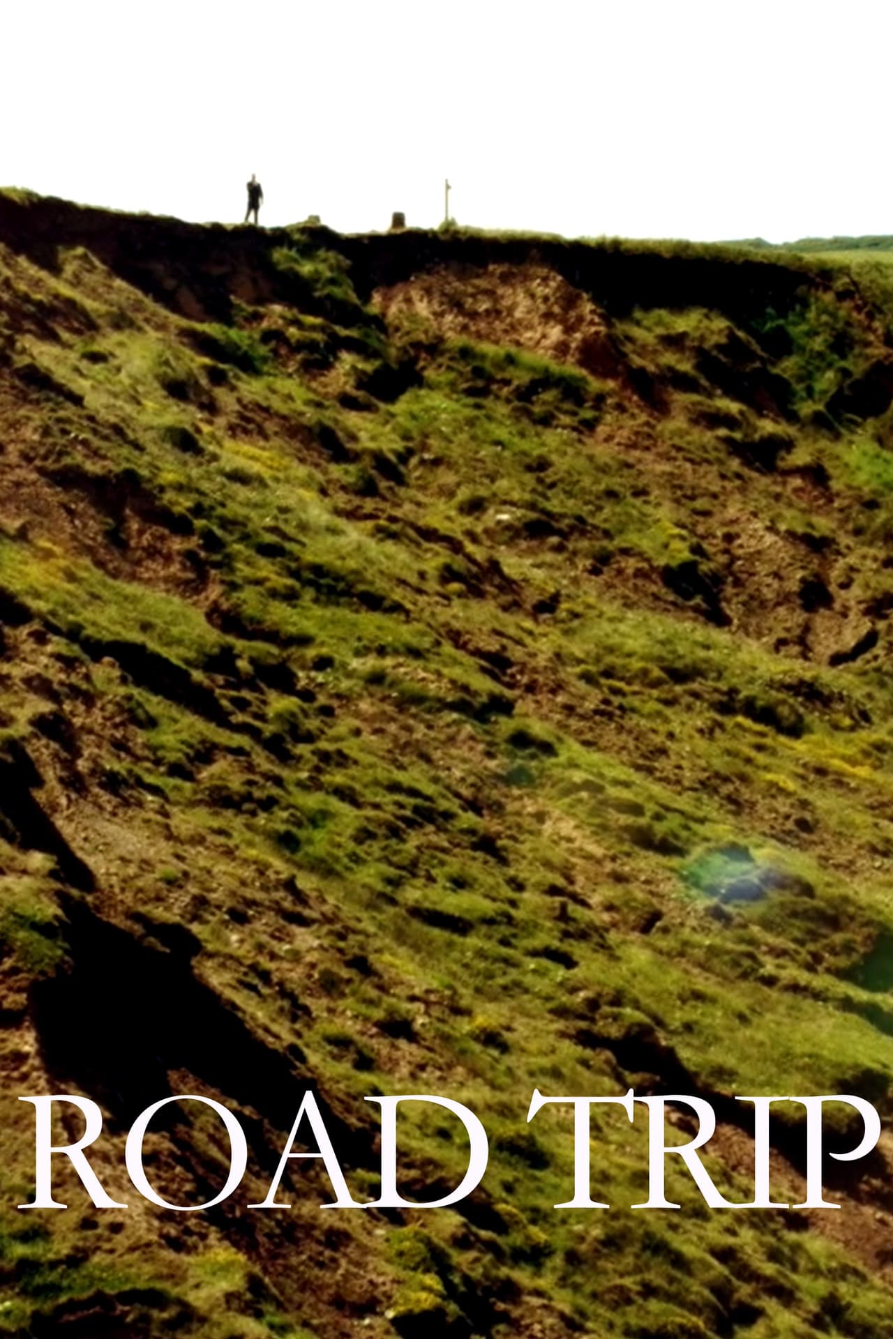 Poster do filme Road Trip