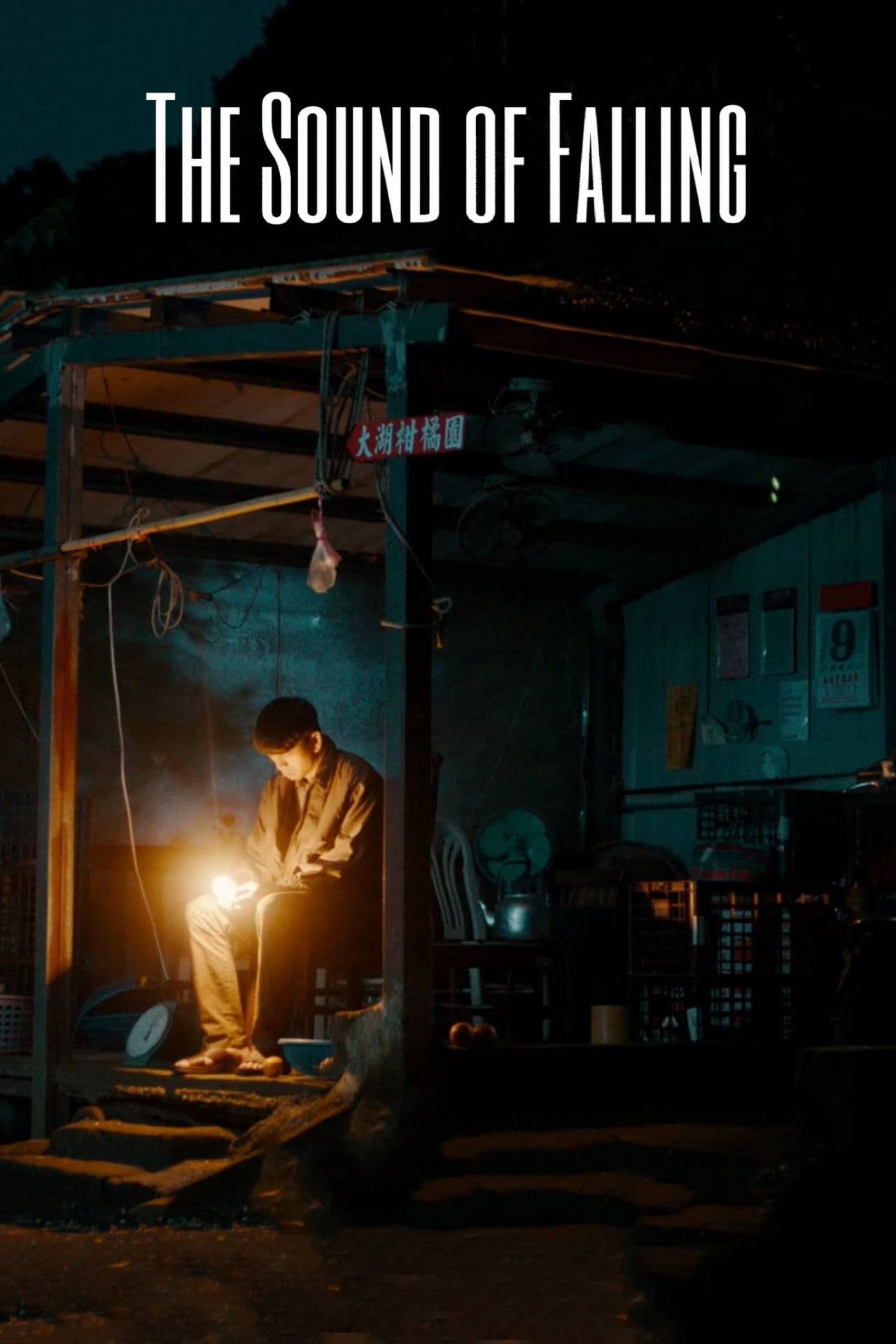 Poster do filme 墜落的聲音