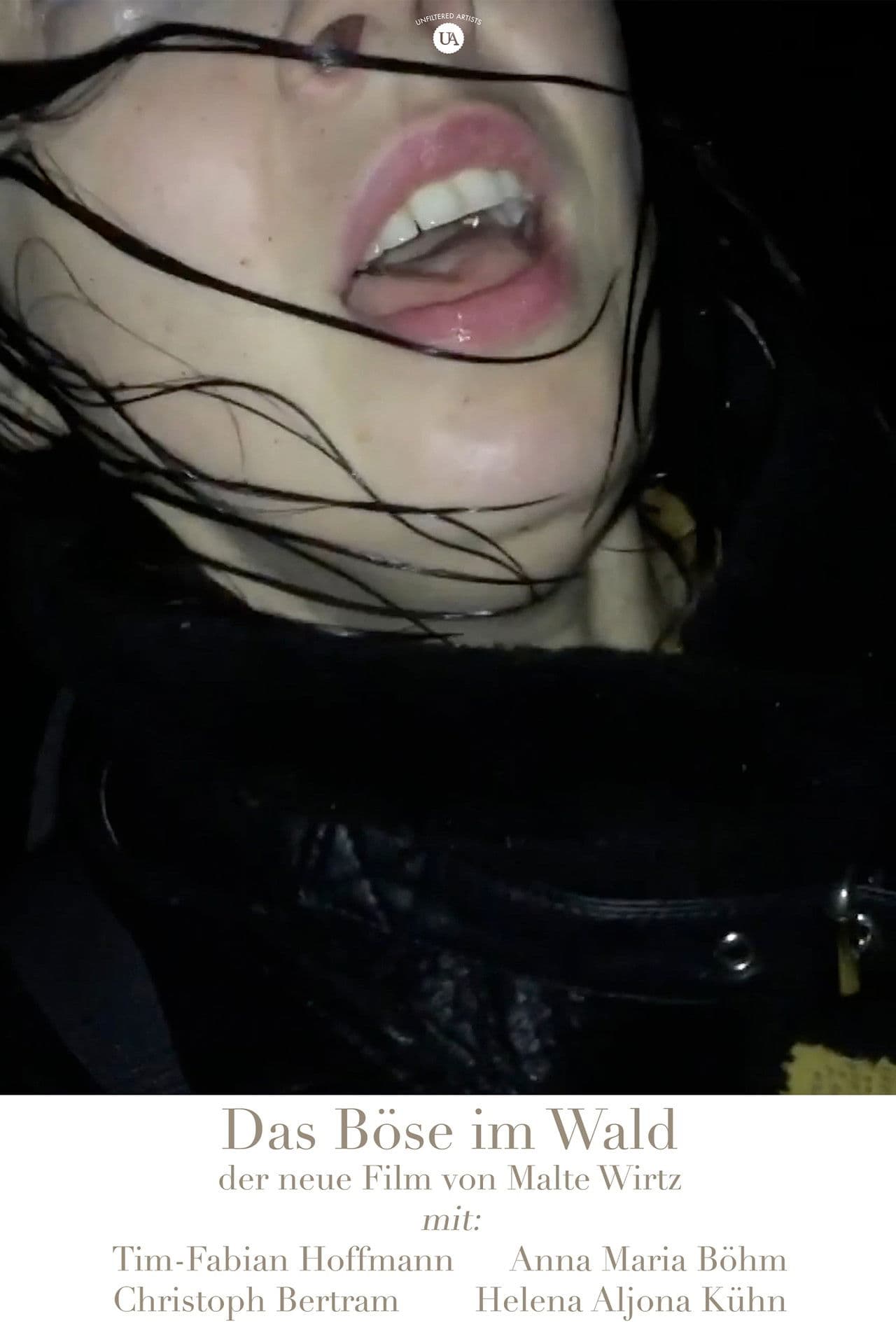 Poster do filme Das Böse im Wald