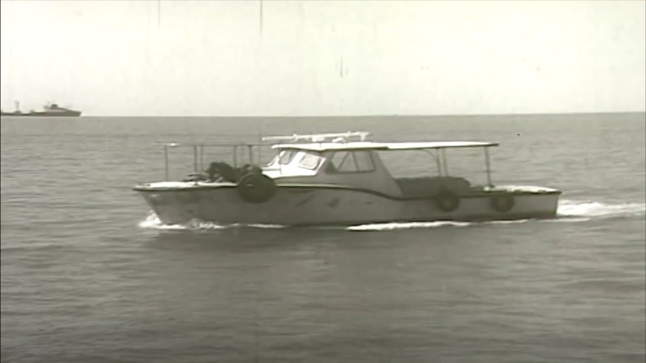 Imagem de fundo do filme Ván bài lật ngửa 5: Trời xanh qua kẽ lá