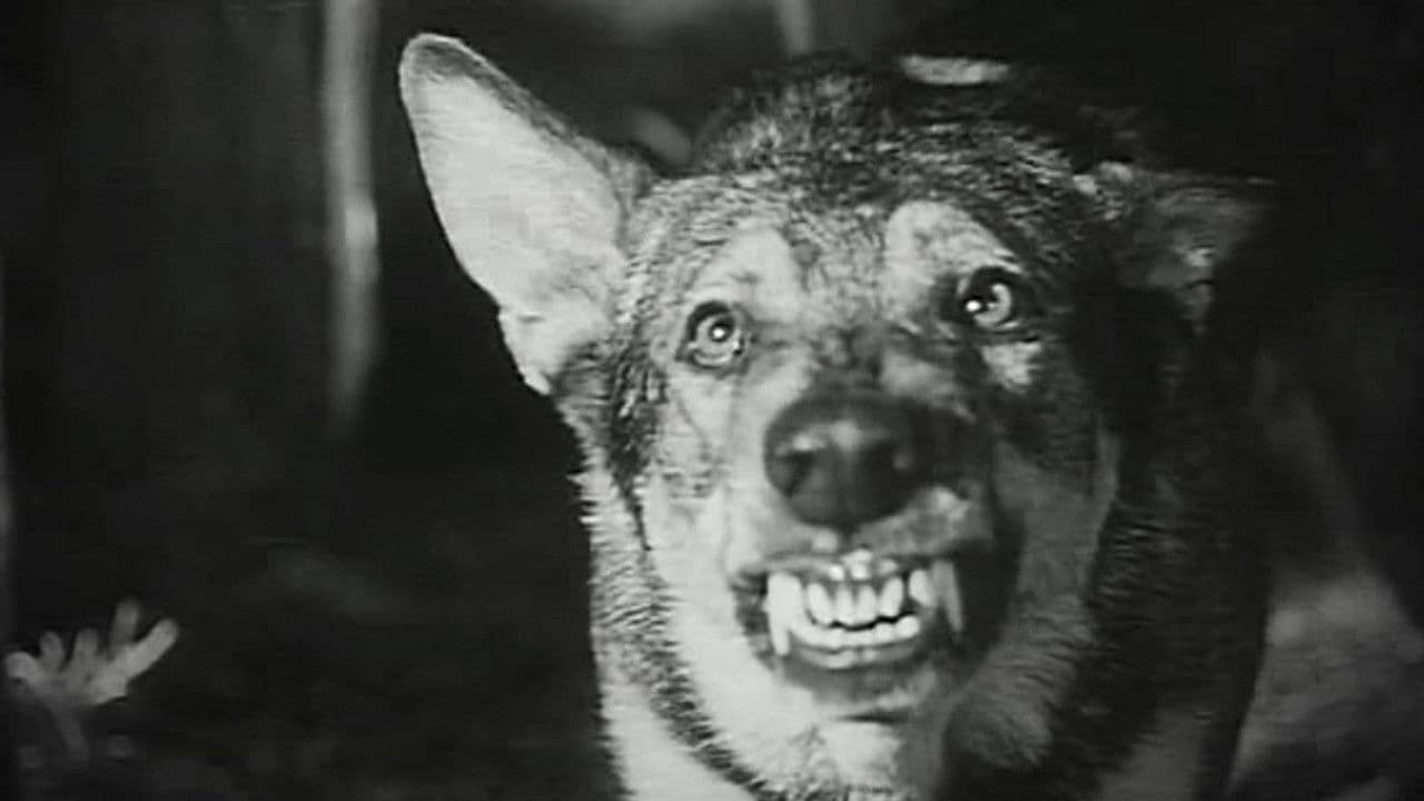 Imagem de fundo do filme Daughter of Darkness