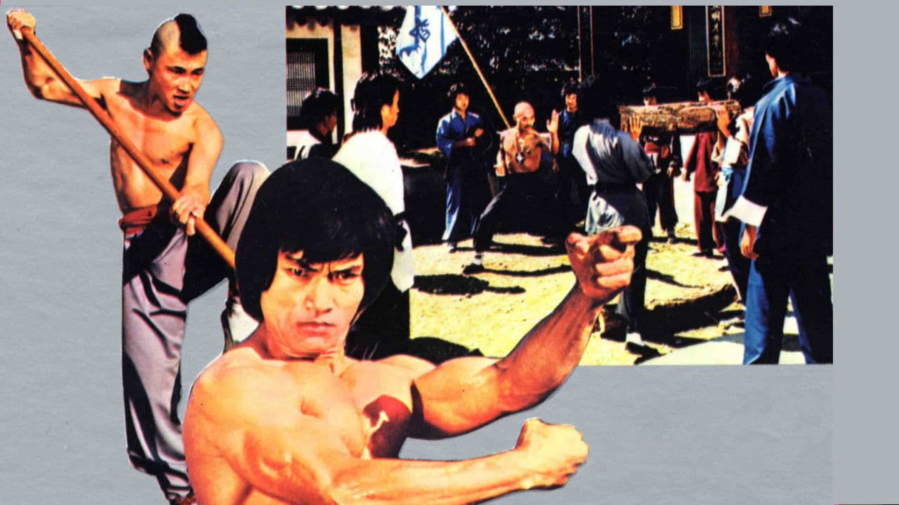 Imagem de fundo do filme Dragon Bruce Lee 3