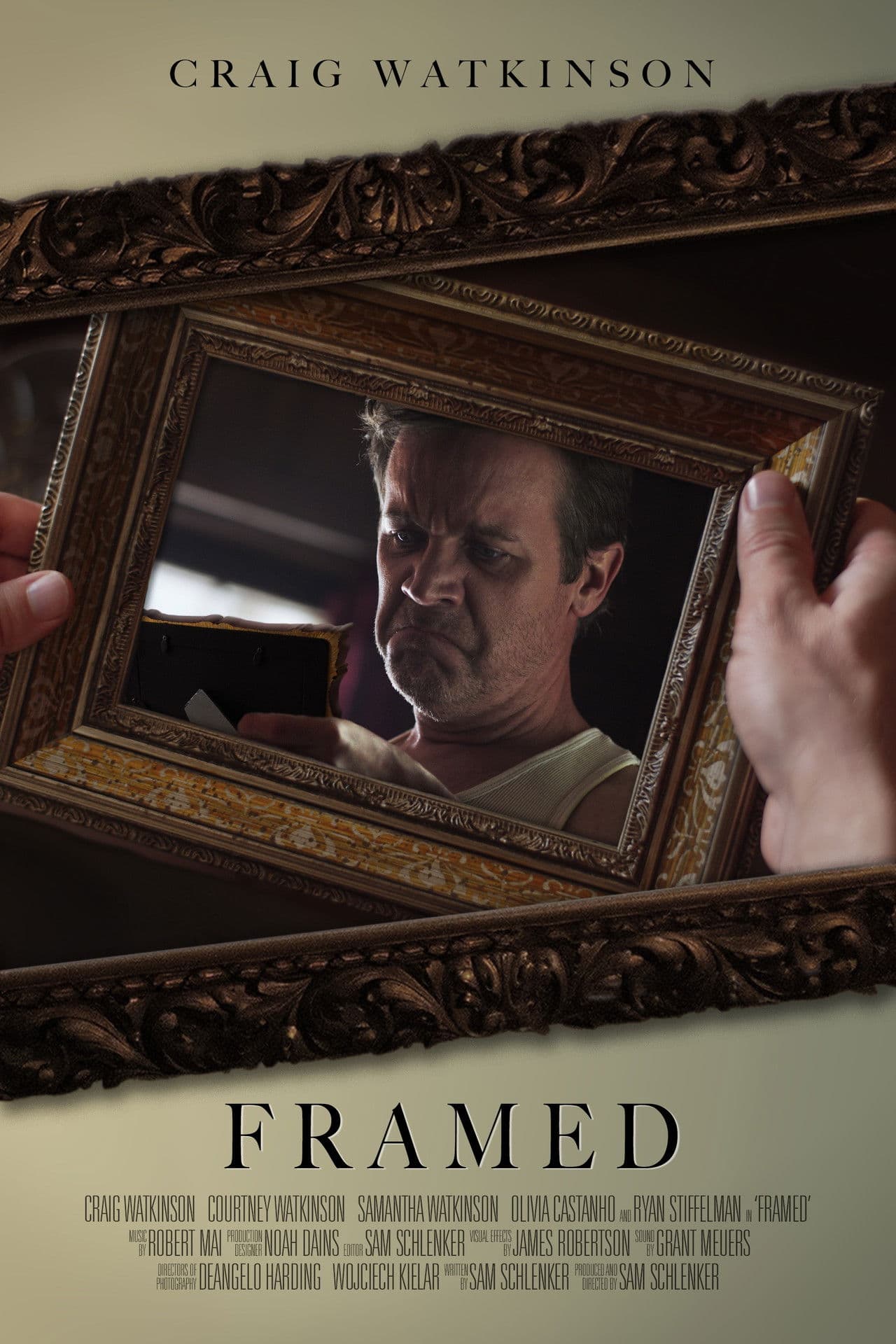 Poster do filme Framed