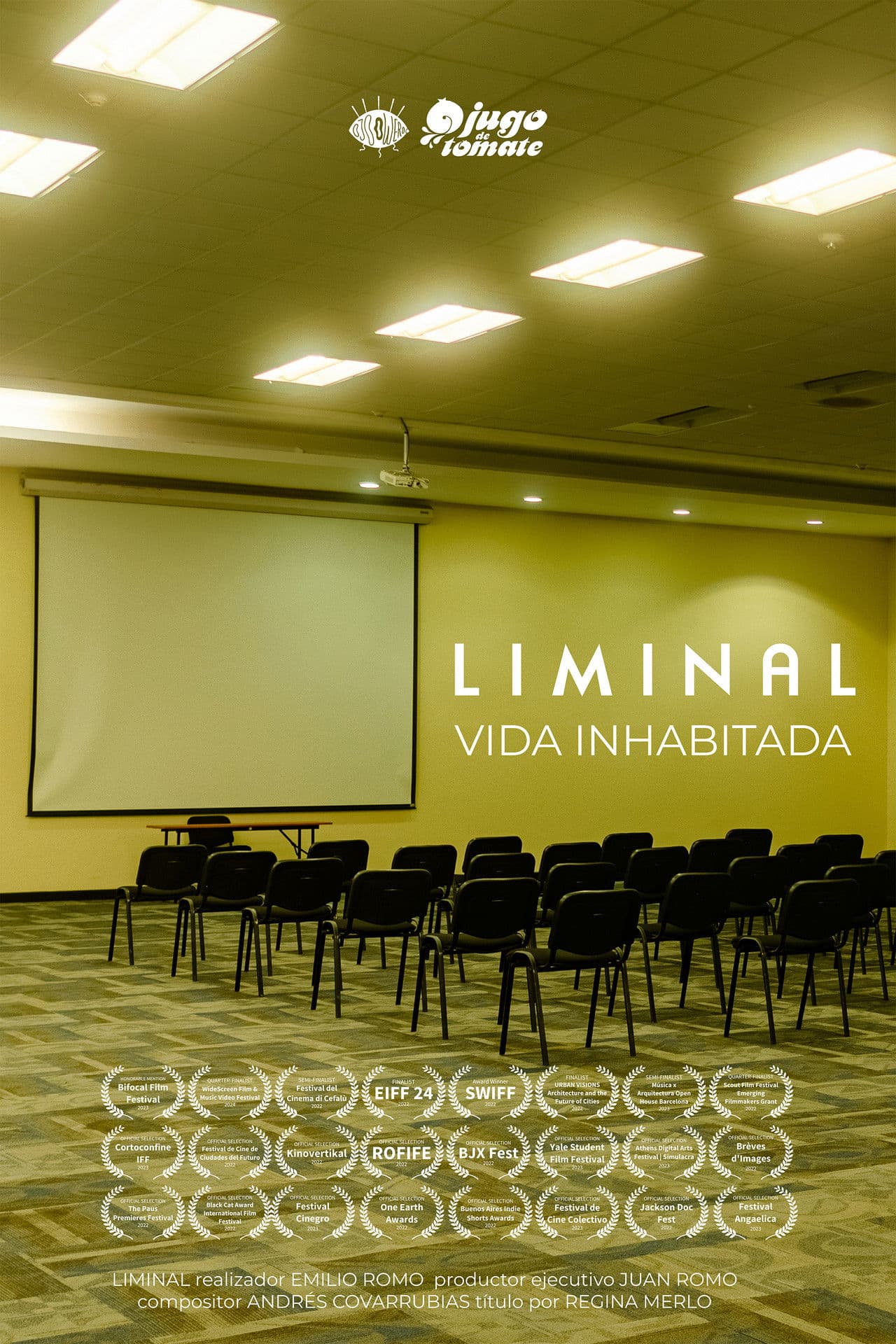 Poster do filme LIMINAL