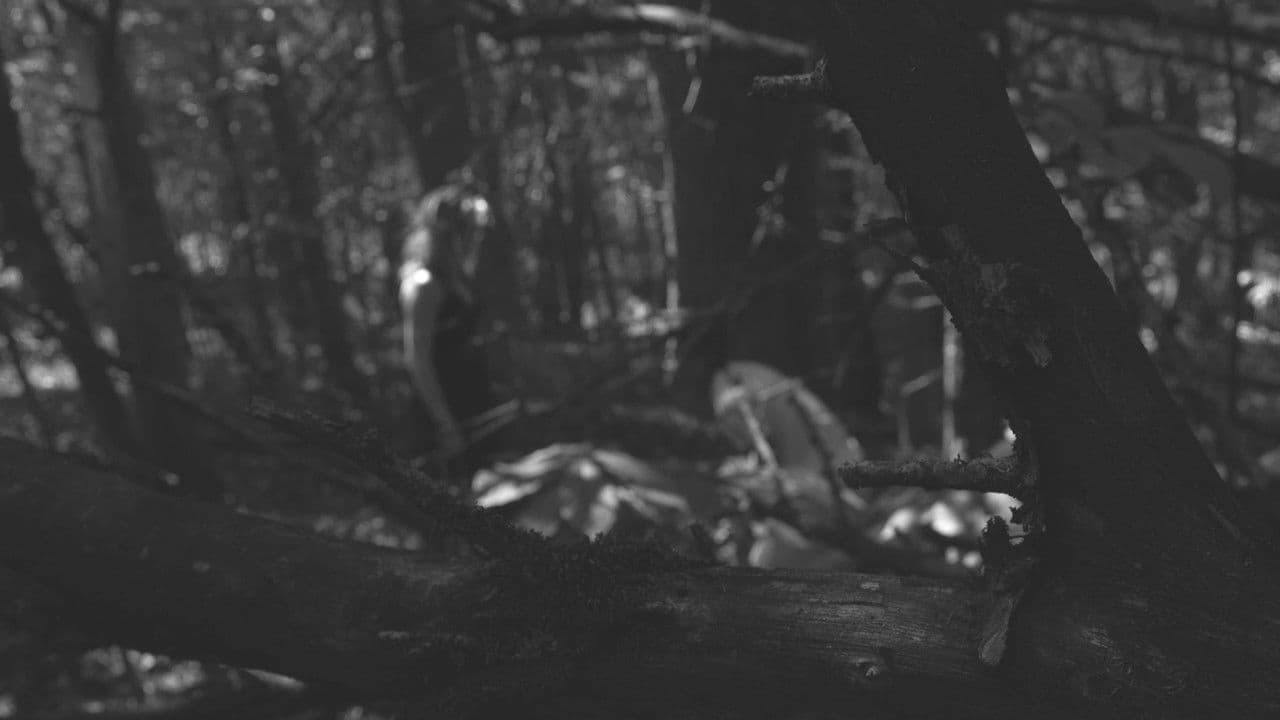 Imagem de fundo do filme The Poet