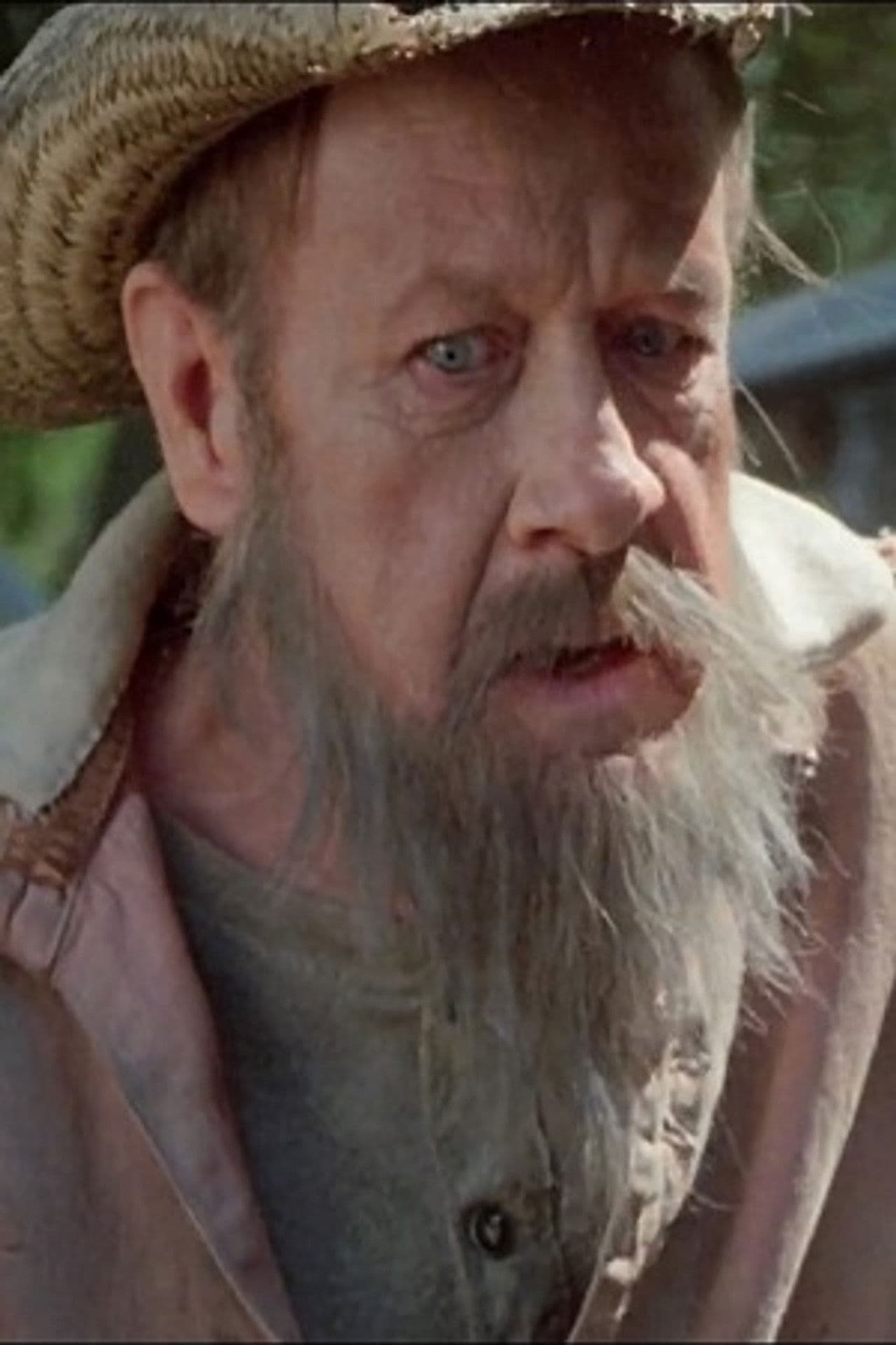 Imagem de perfil de David Wiley