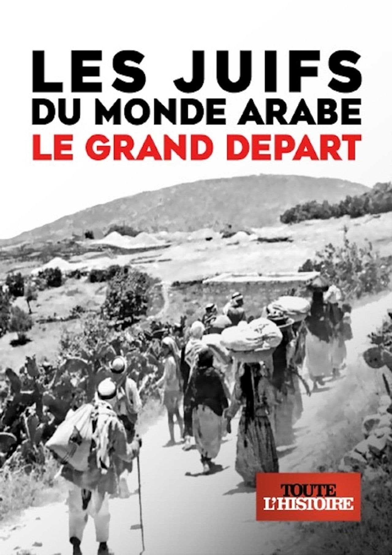 Poster do filme Les Juifs du monde arabe, le grand départ