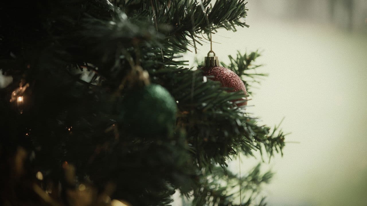 Imagem de fundo do filme Die by the Schtick