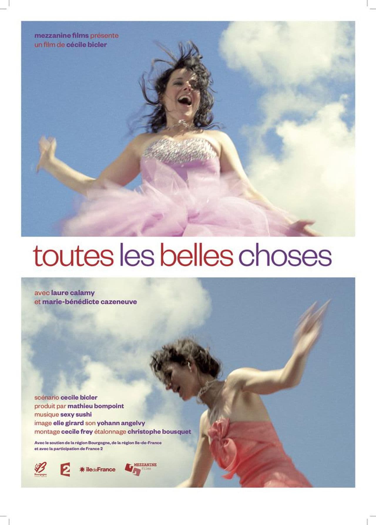 Poster do filme Toutes les belles choses
