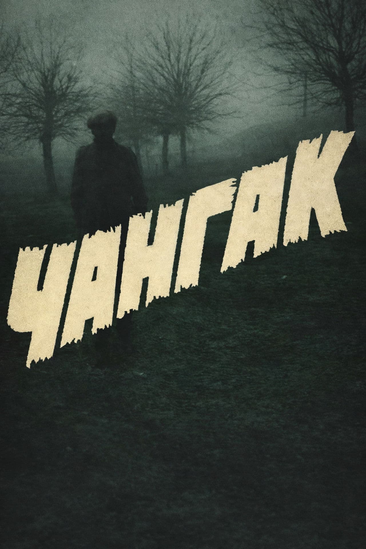 Poster do filme Changak