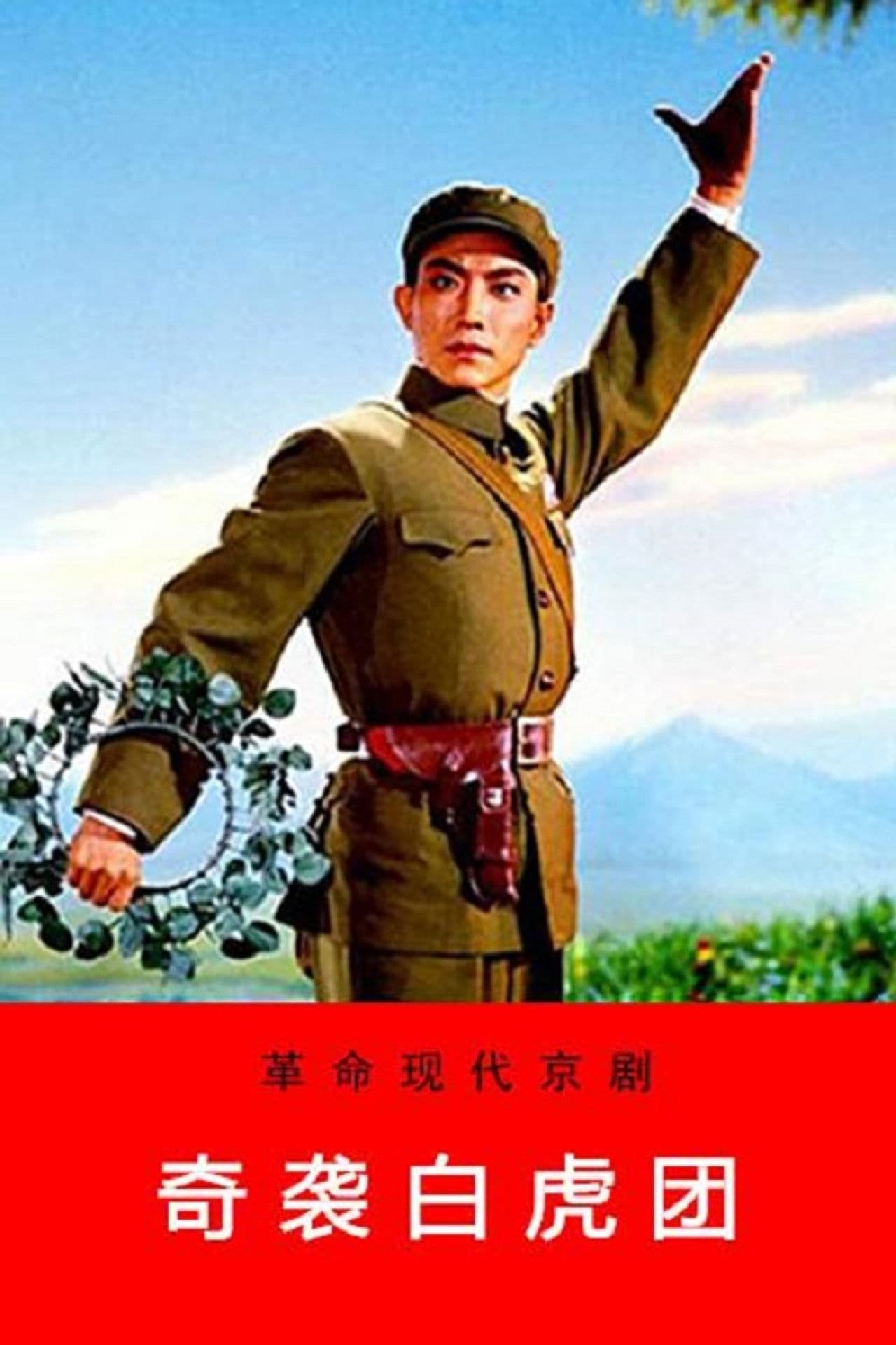 Poster do filme 奇袭白虎团