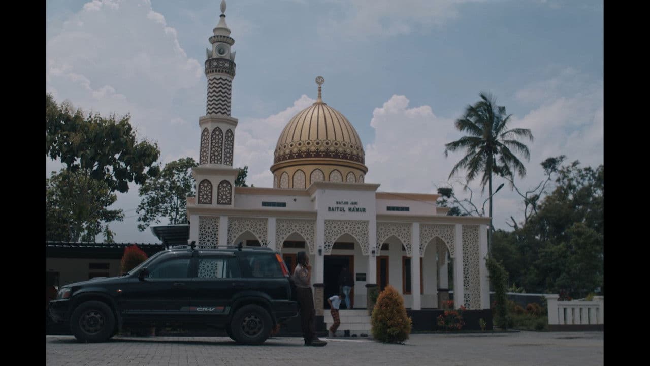 Imagem de fundo do filme A Cat Can Look at a King