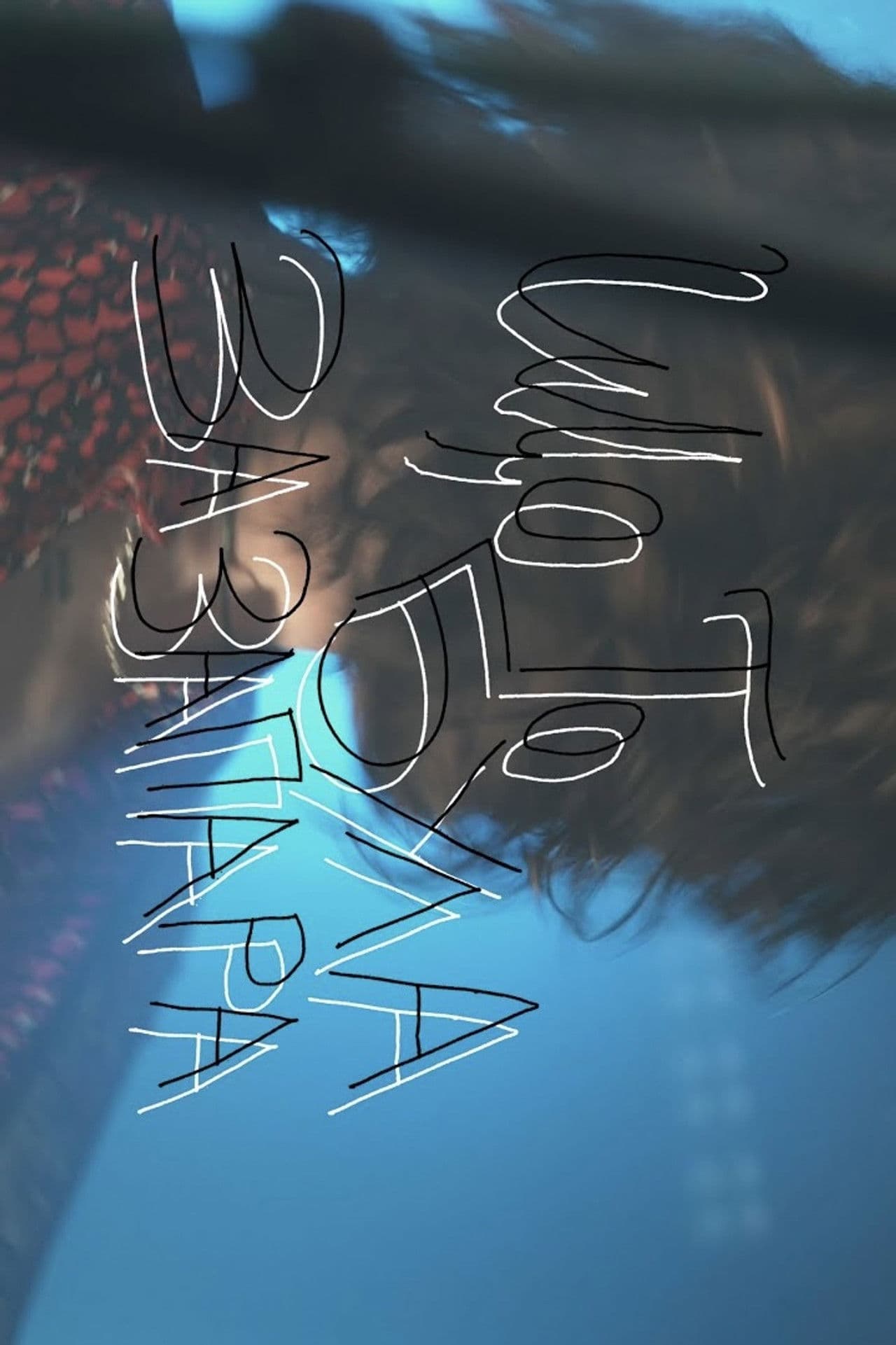 Poster do filme що то була за запара