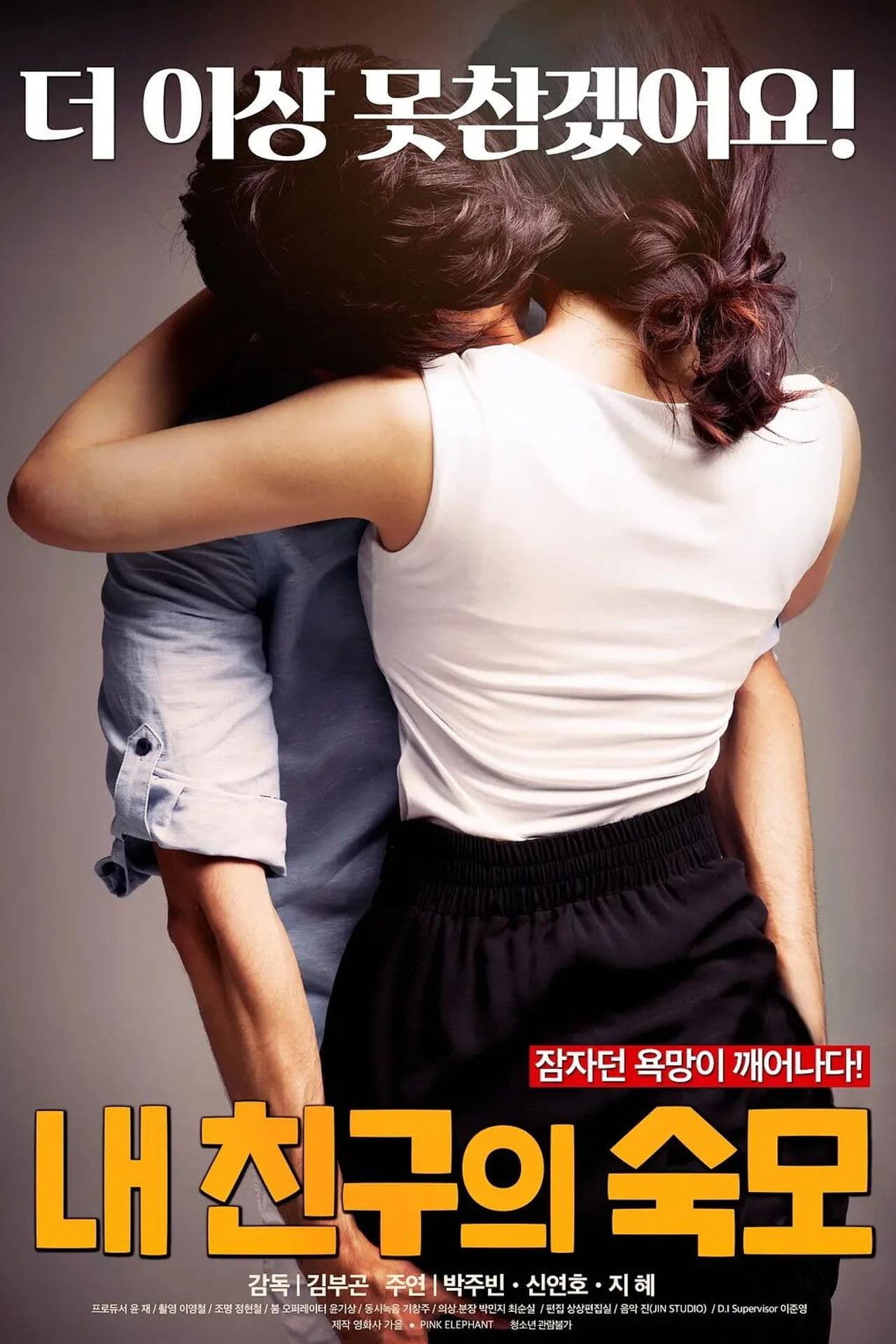 Poster do filme 내 친구의 숙모