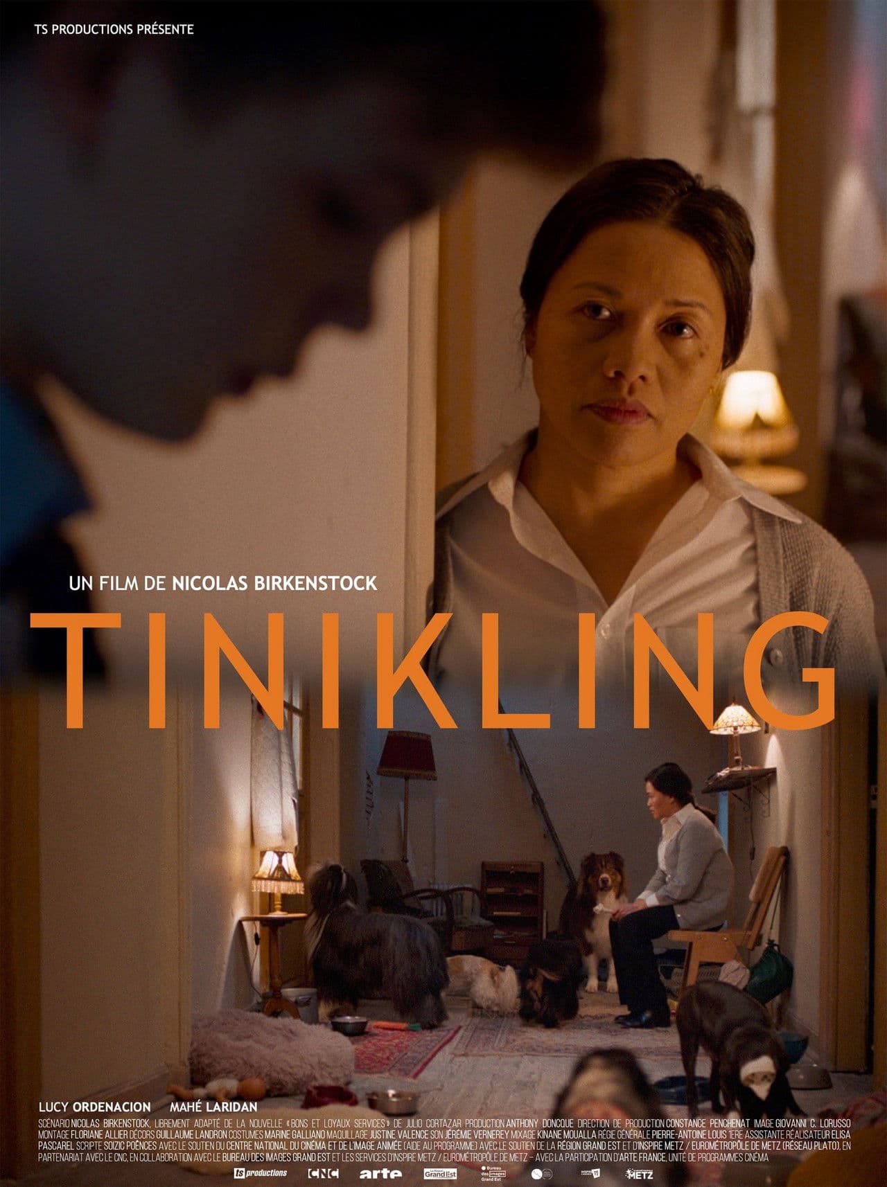 Poster do filme Tinikling