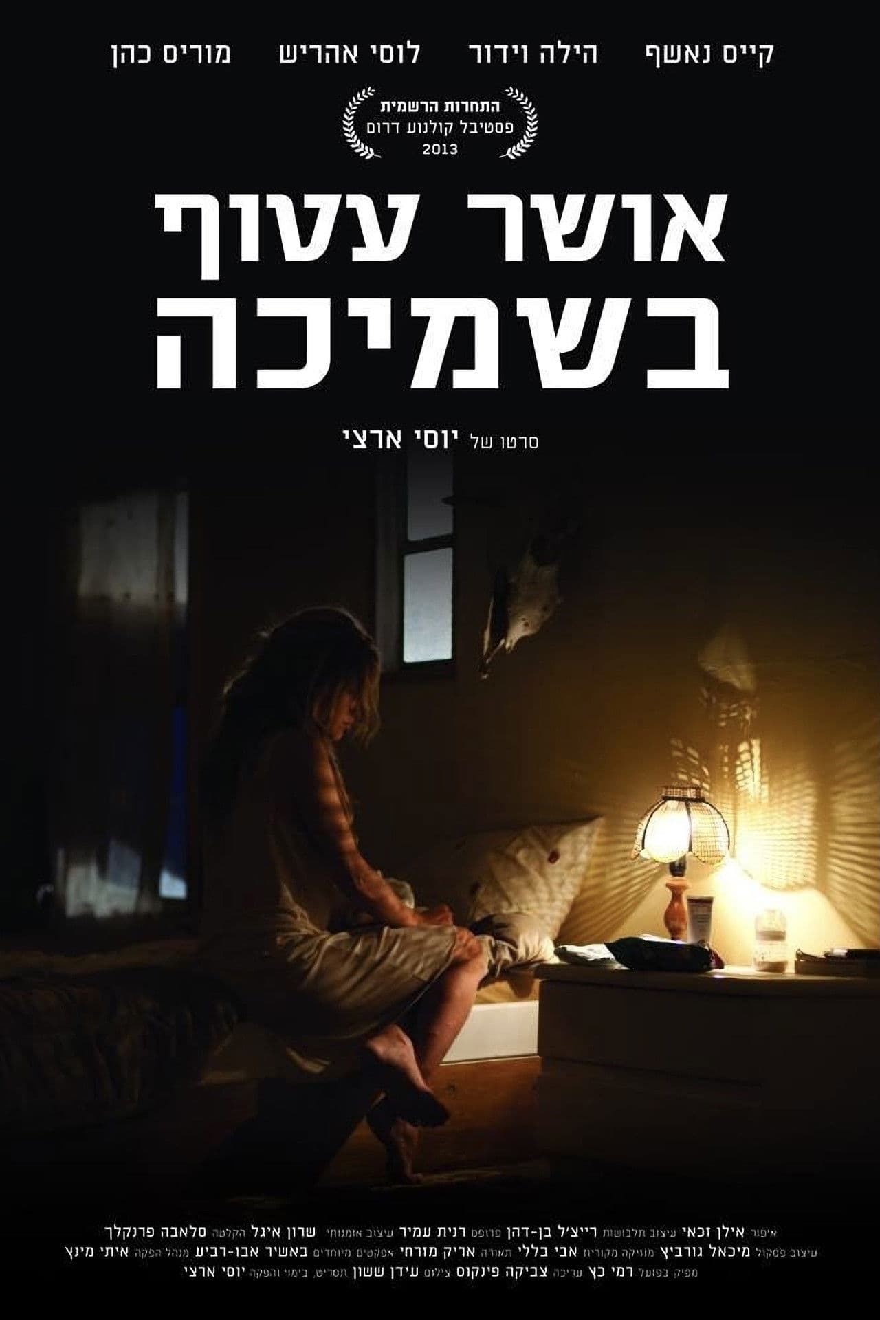 Poster do filme אושר עטוף בשמיכה