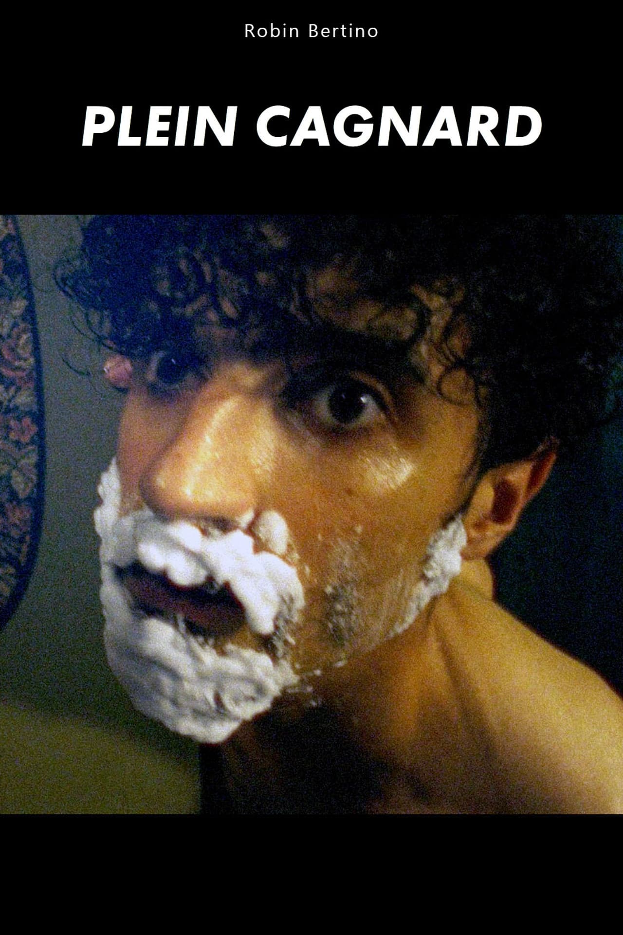 Poster do filme Plein Cagnard