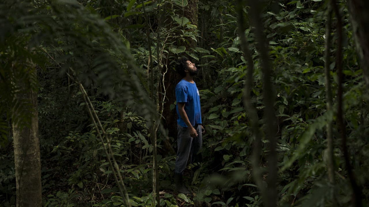 Imagem de fundo do filme Dos Antigos aos Filhos do Amanhã