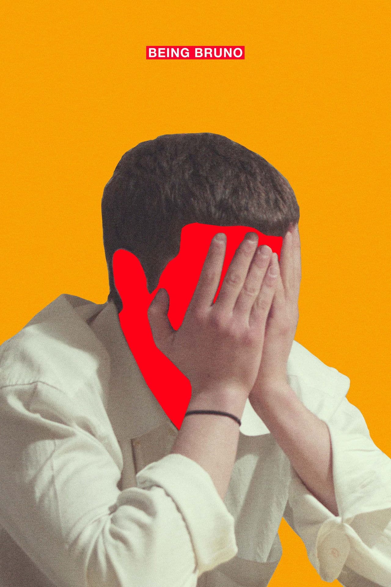 Poster do filme Being Bruno