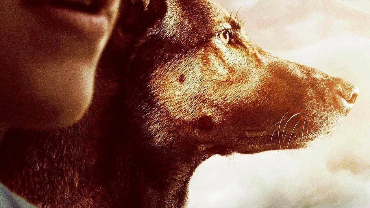 Imagem de fundo do filme Max: O Cão Herói