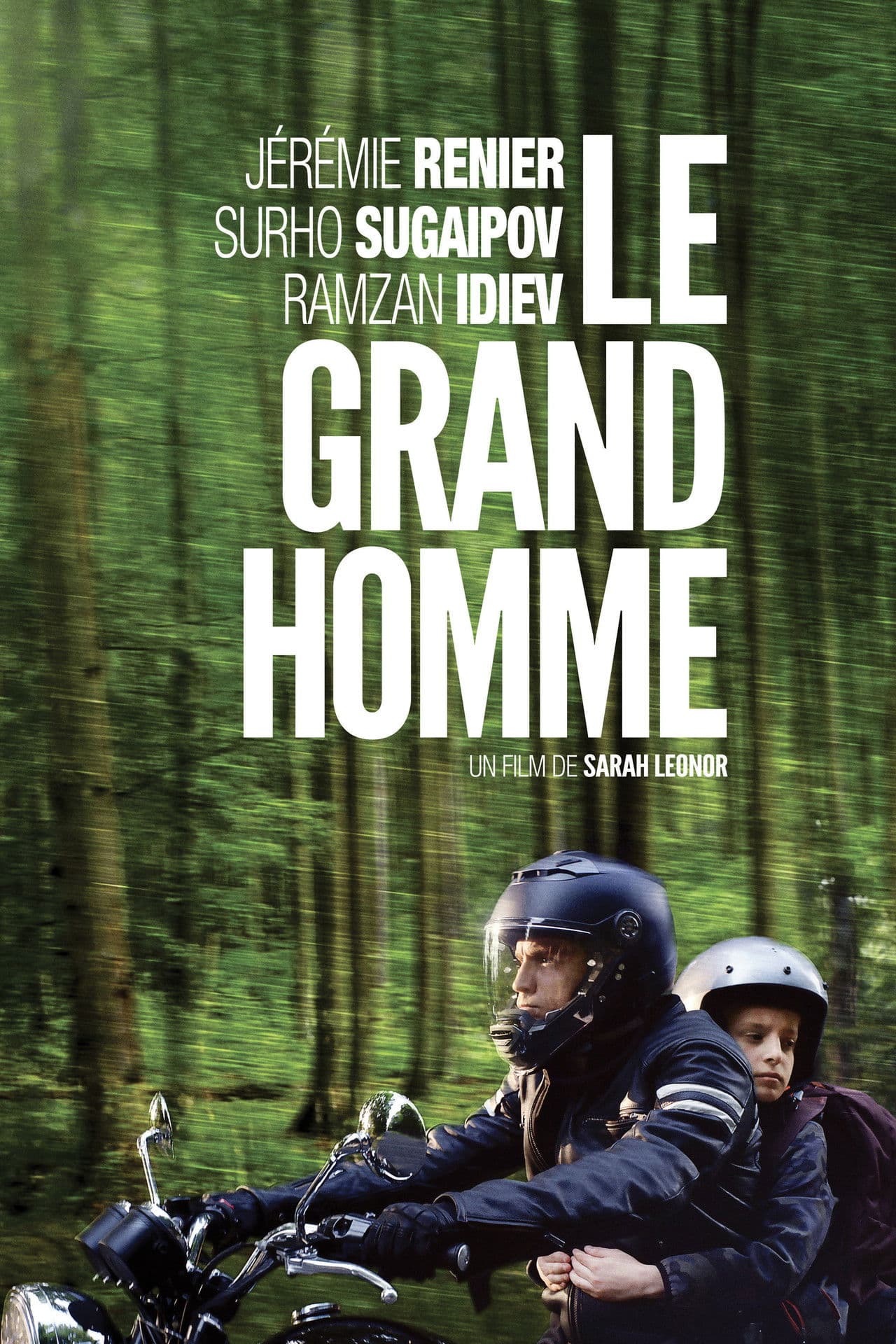 Poster do filme Le Grand Homme