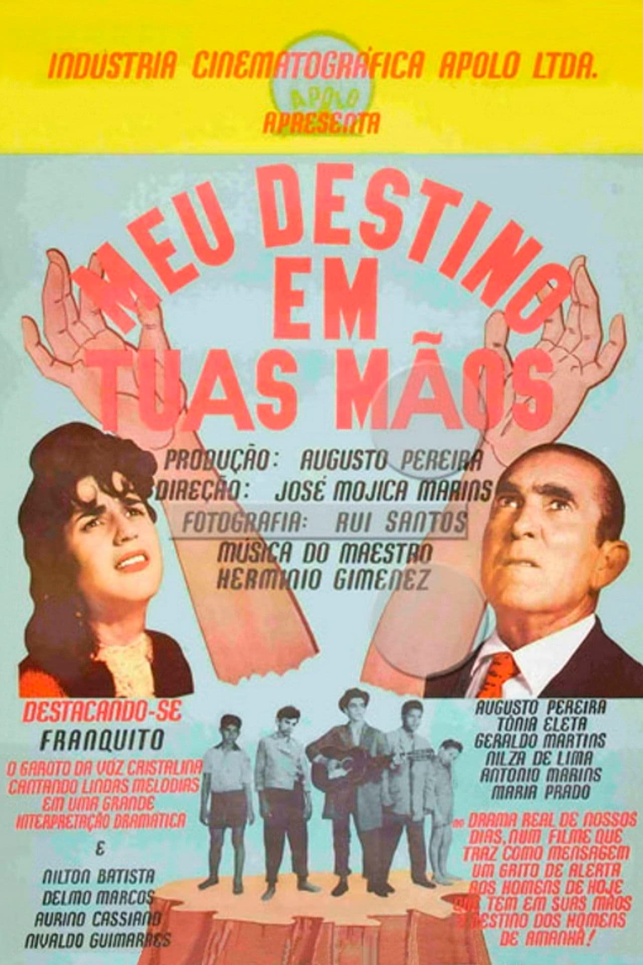 Poster do filme Meu Destino em Tuas Mãos