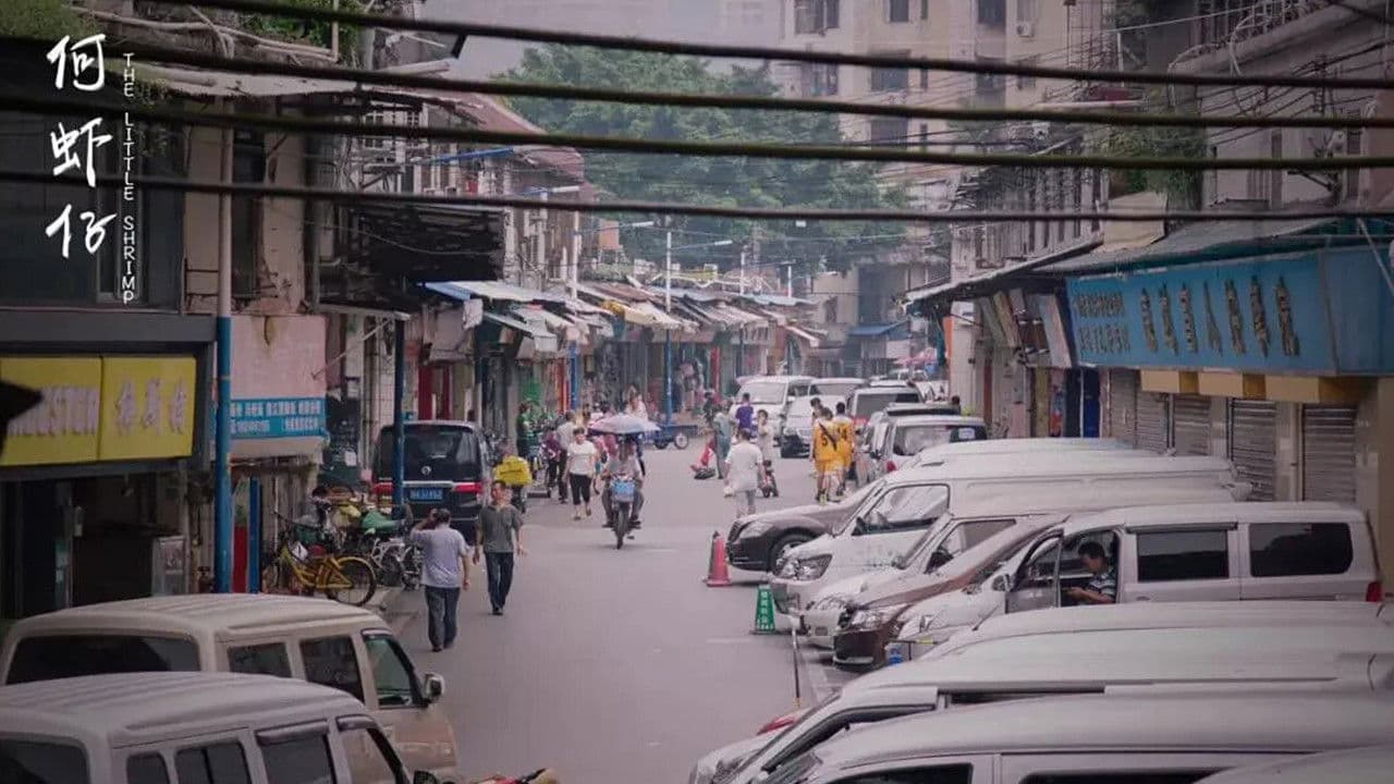 Imagem de fundo do filme 何虾仔