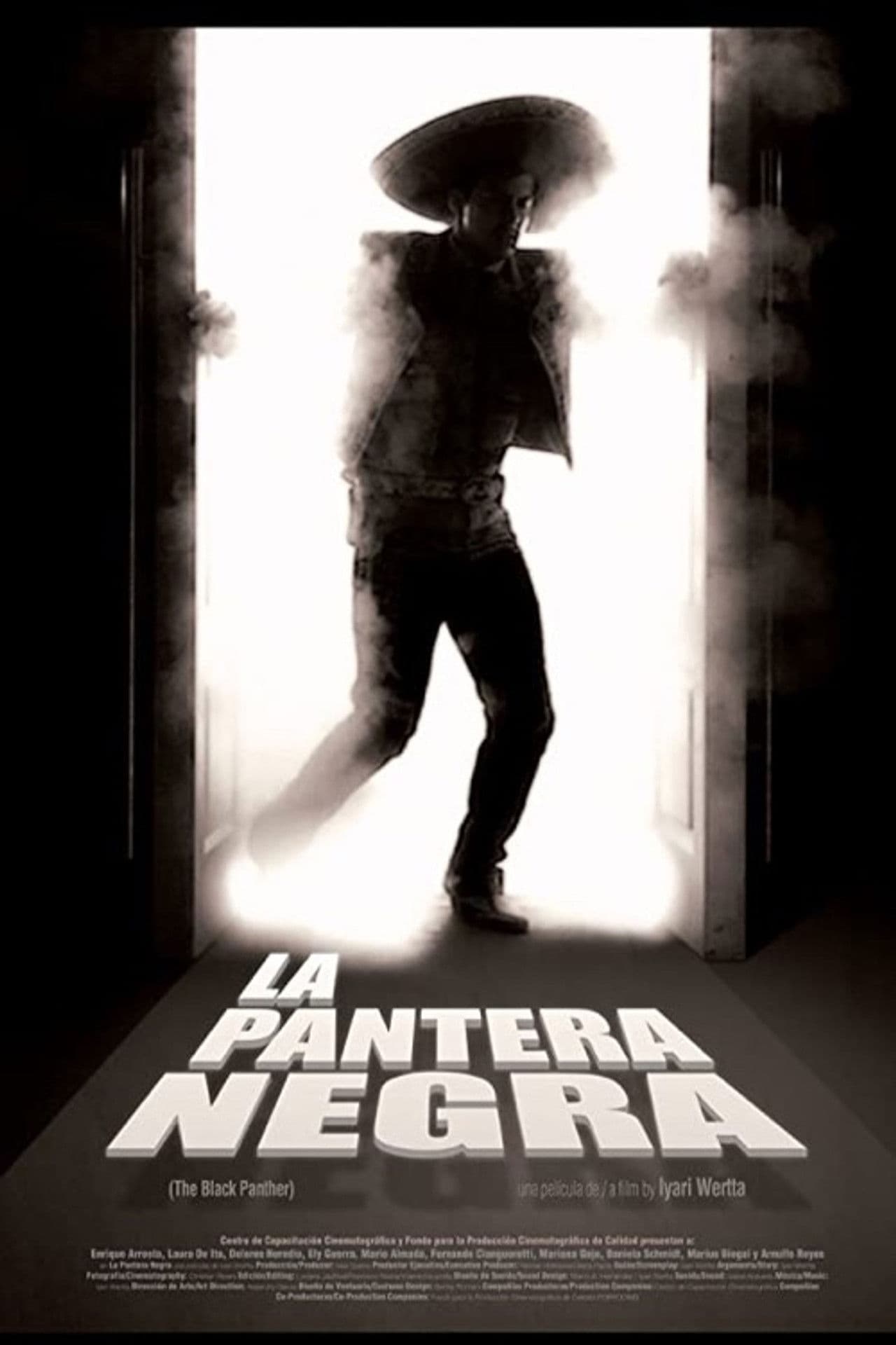 Poster do filme La pantera negra