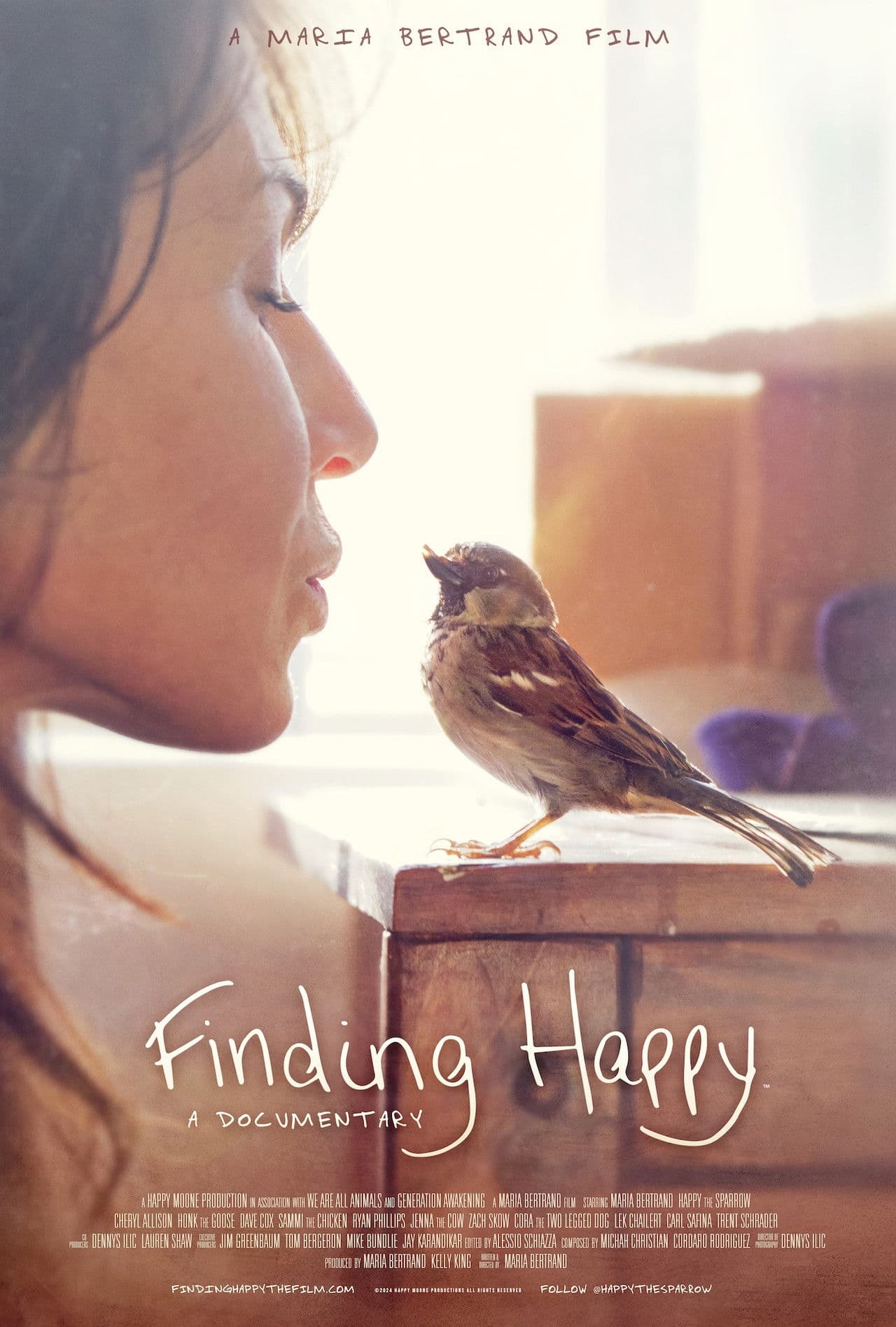 Poster do filme Finding Happy