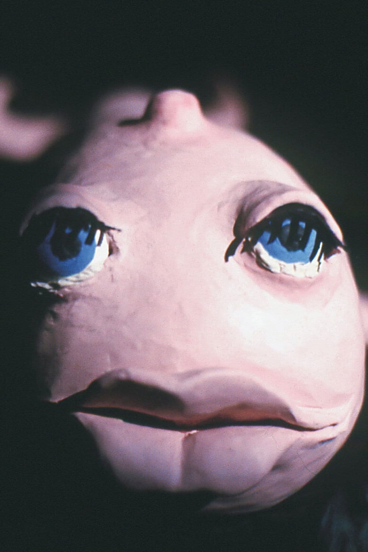 Poster do filme L'éléphant et la baleine