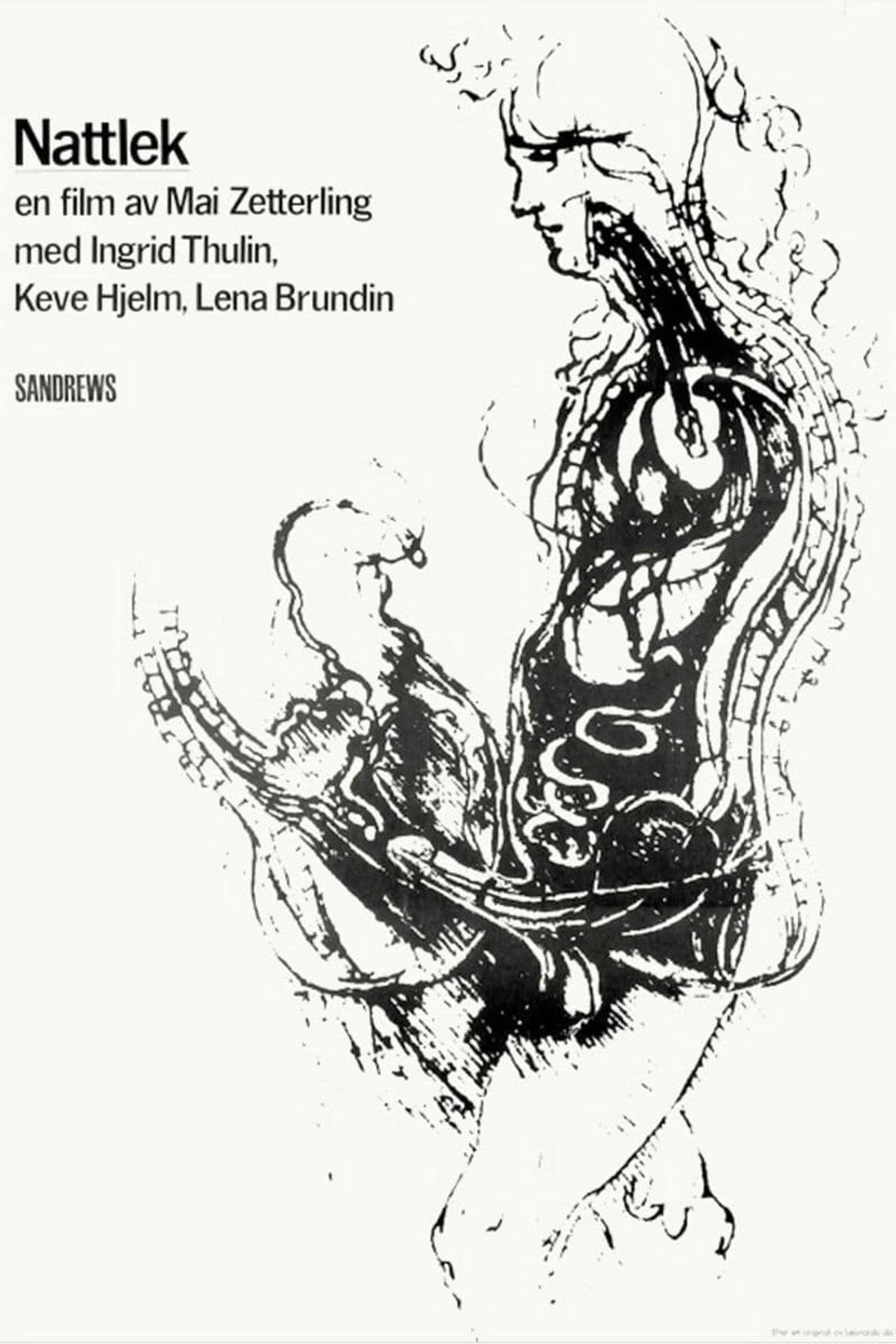 Poster do filme Nattlek