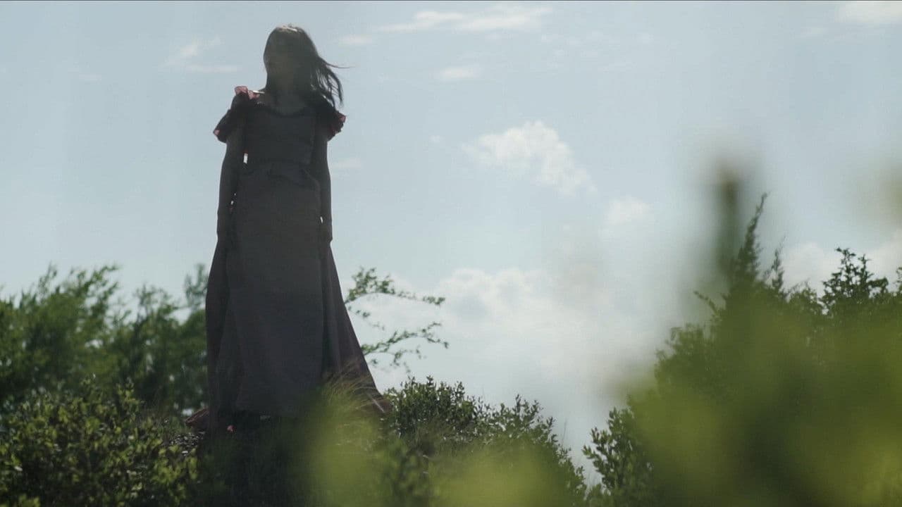 Imagem de fundo do filme A Ship of Human Skin