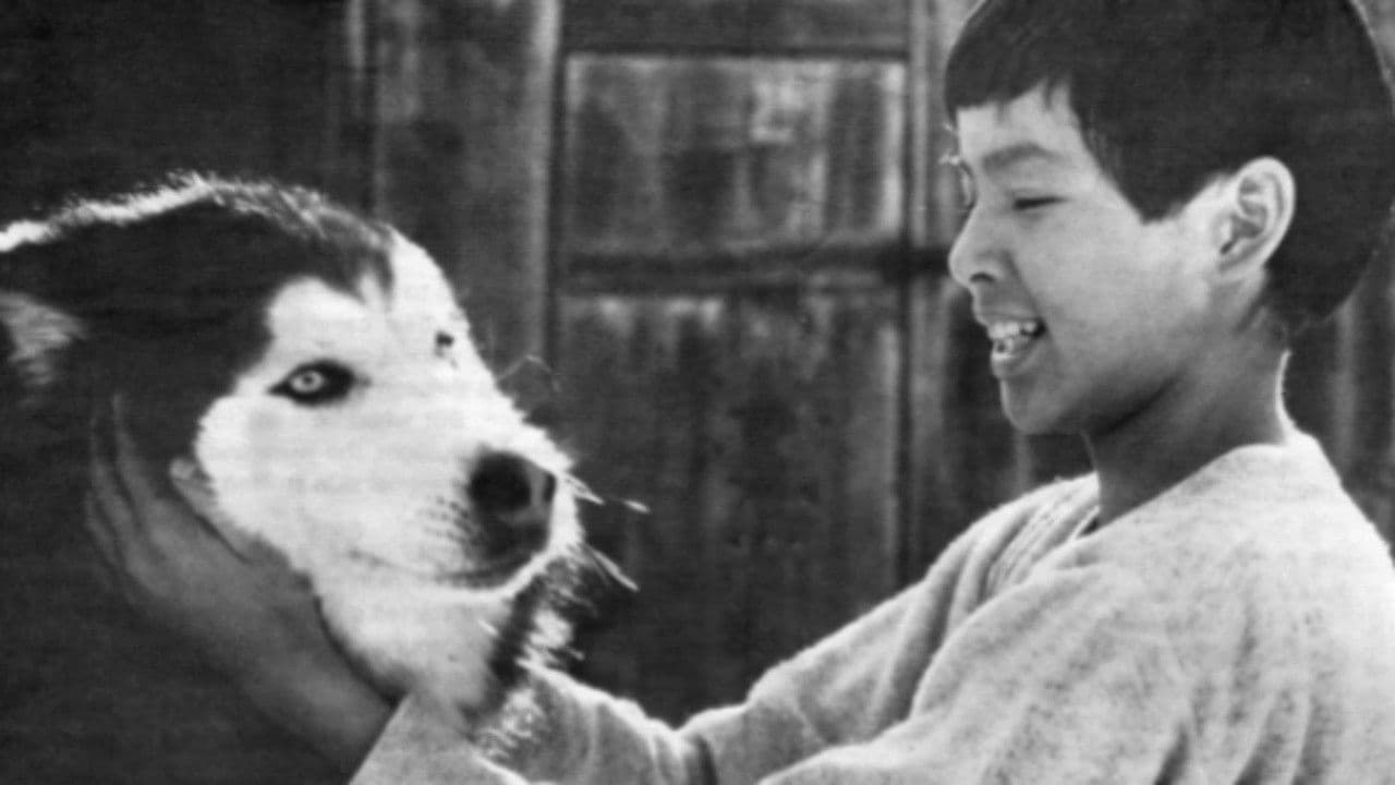 Imagem de fundo do filme Spirit of the Wind