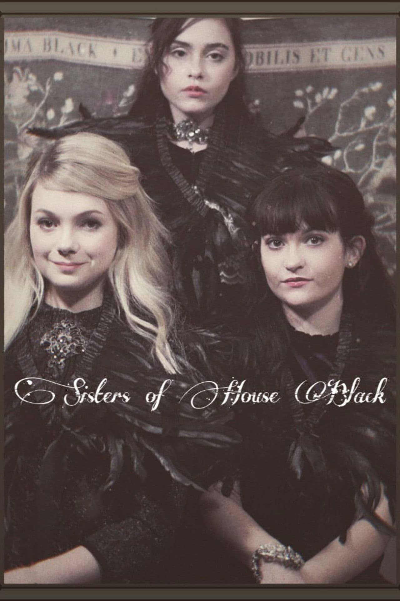 Poster do filme Sisters of House Black