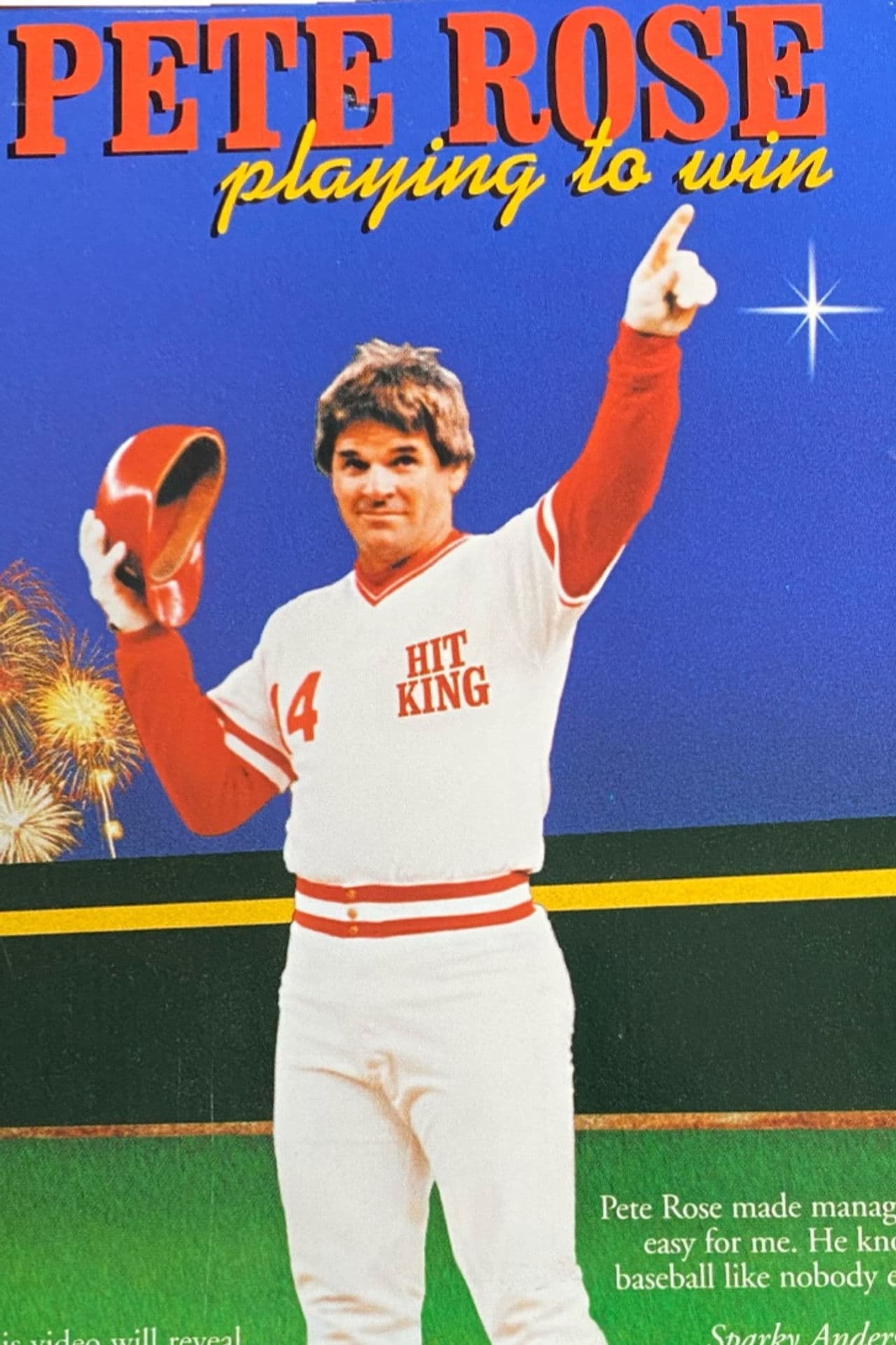 Poster do filme Pete Rose: Playing to Win